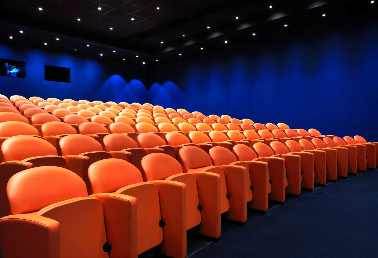 National Theatre | Patron Screening Series