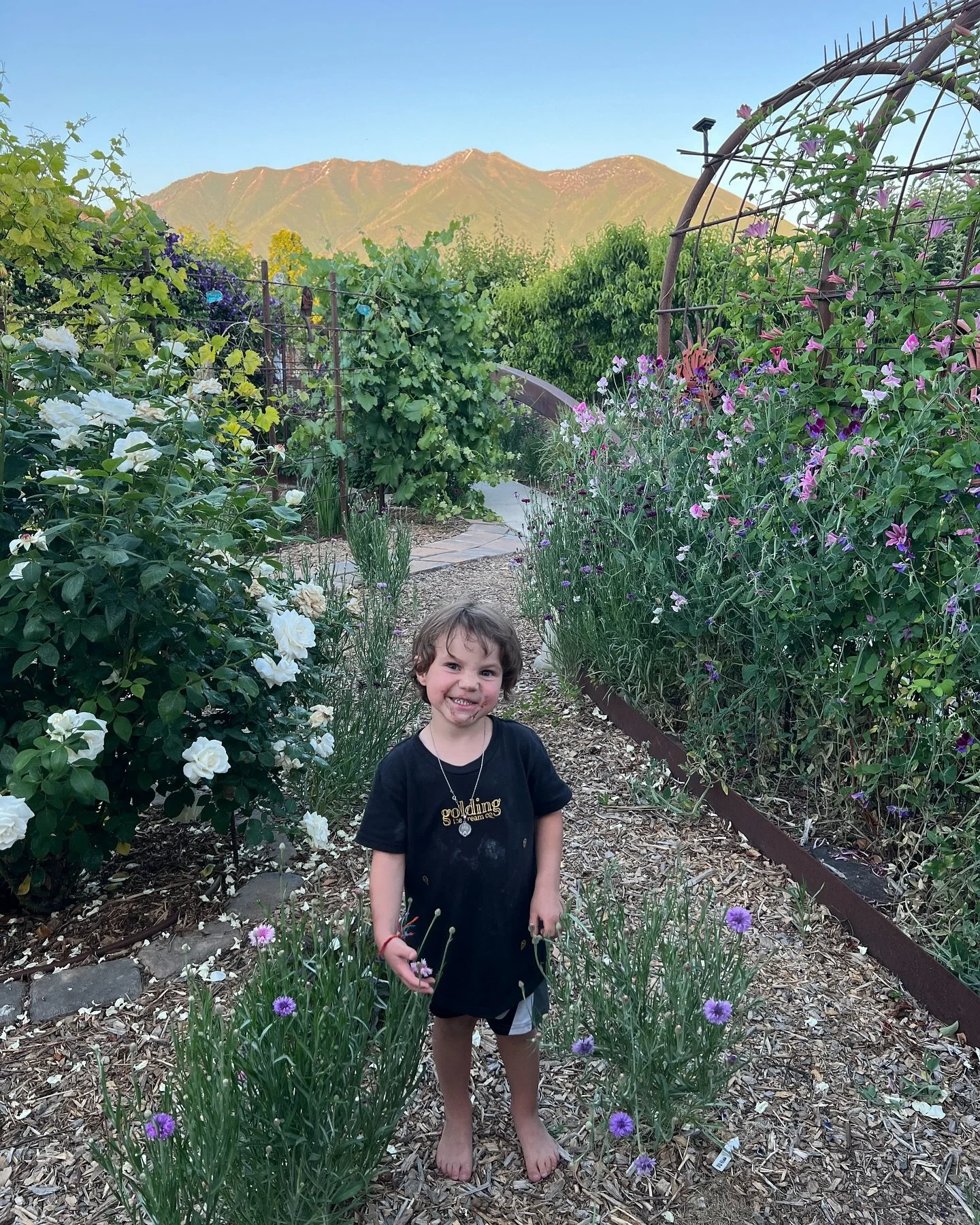thank you everyone for such a beautiful weekend!
hope to see you this week.
monday @ 8-10:30 at rock canyon park
friday @ 6-9:30 1160 E 2680 N Provo, UT
love you.