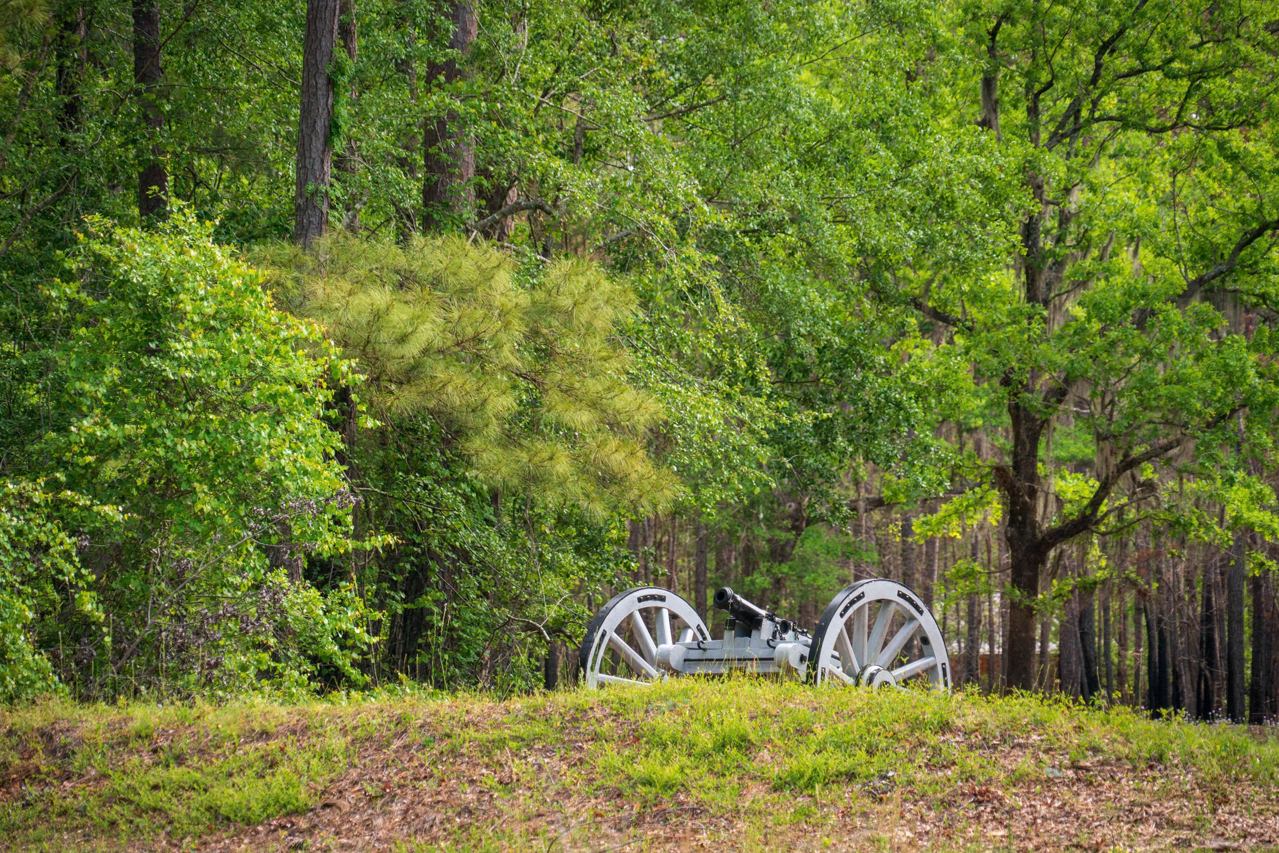 Revolution in the Carolinas—Three Patriot Victories