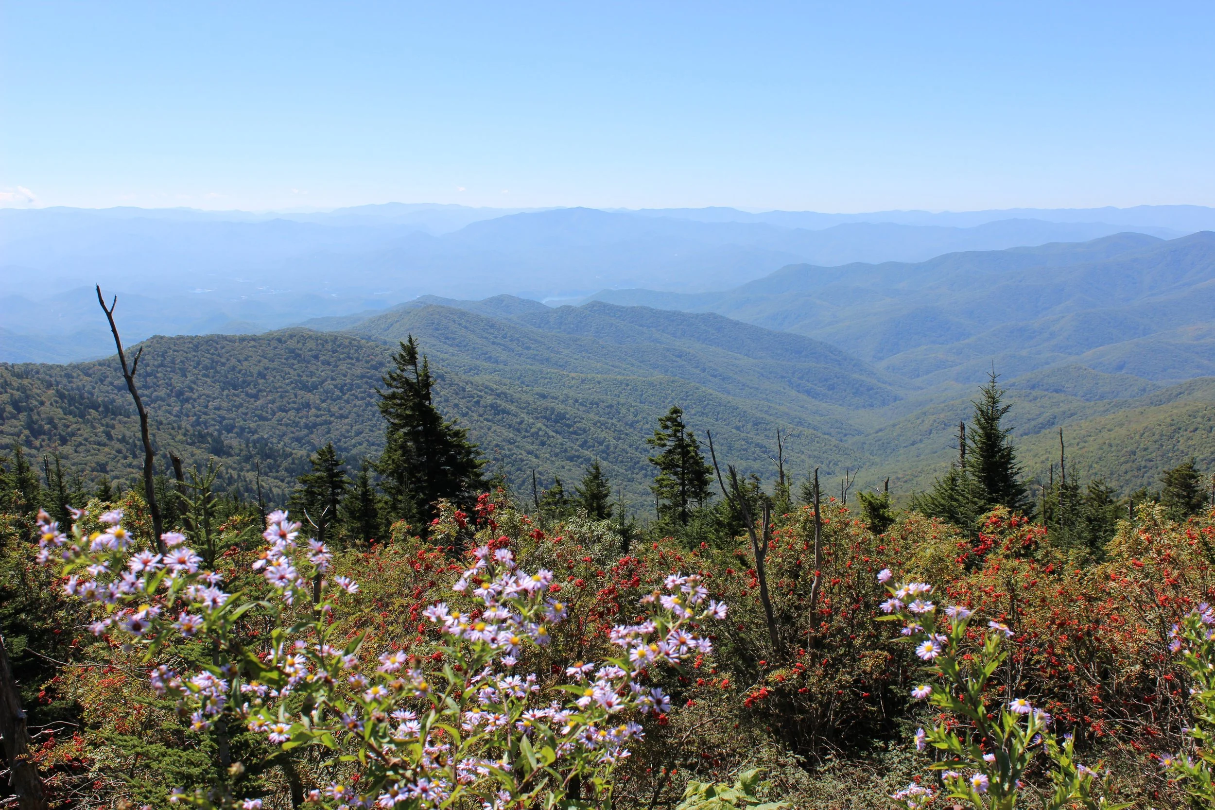 10 Eastern National Parks You Just Need to Visit