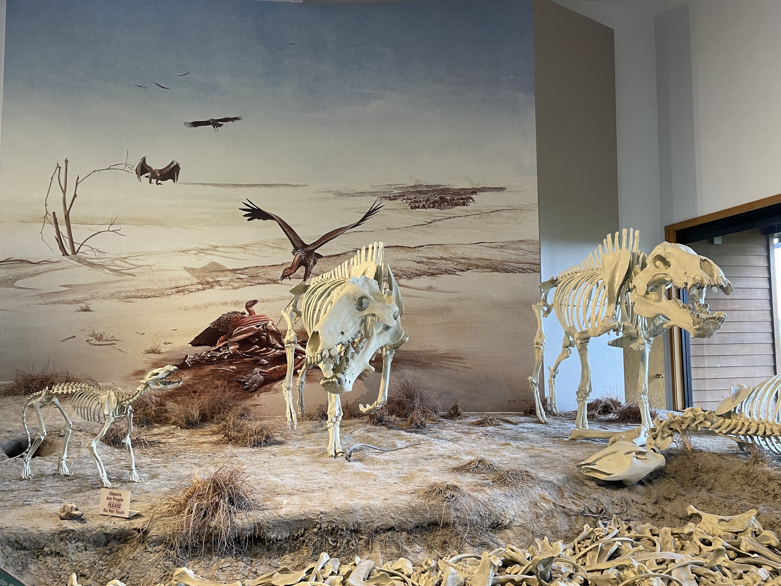 Fossils—Eight National Monuments
