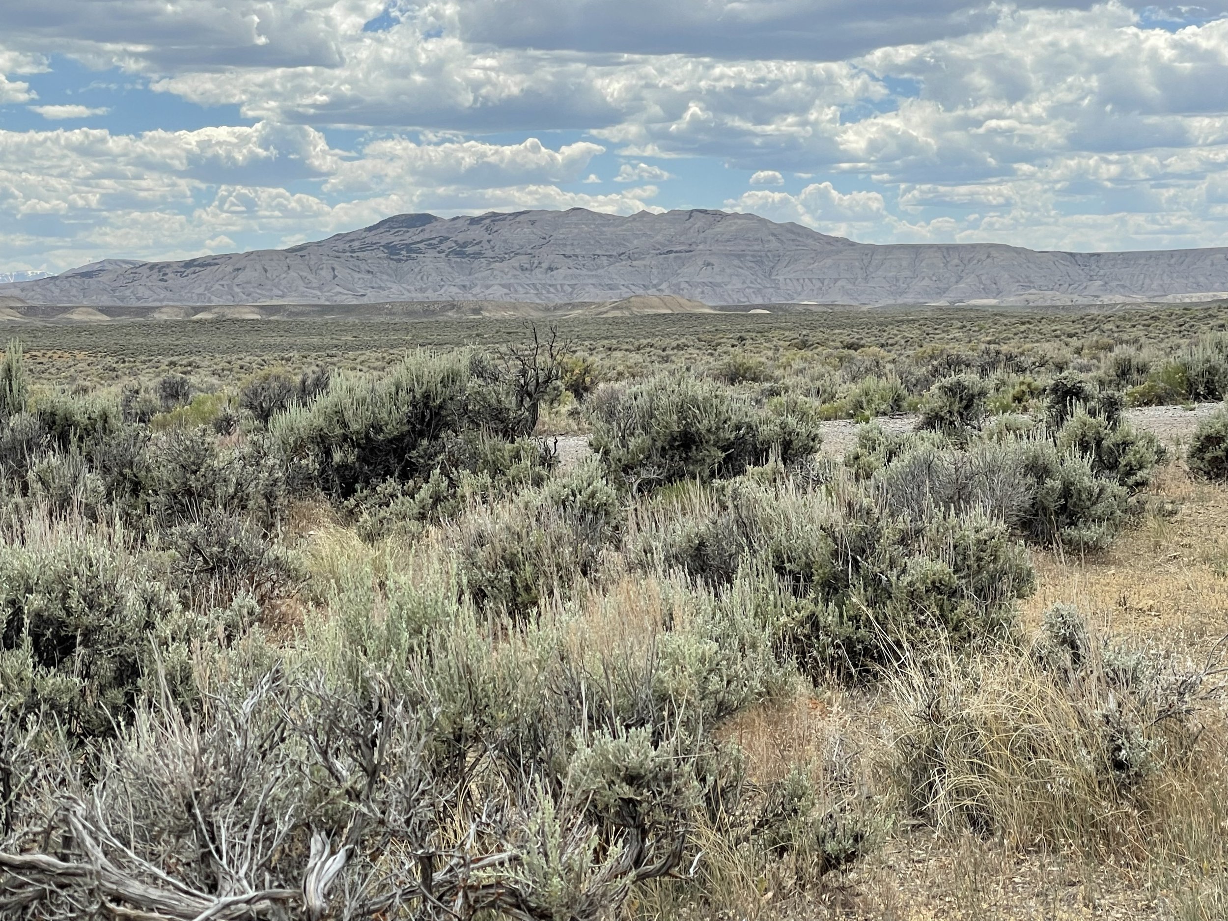 Buckboard Crossing Campground—Wyoming