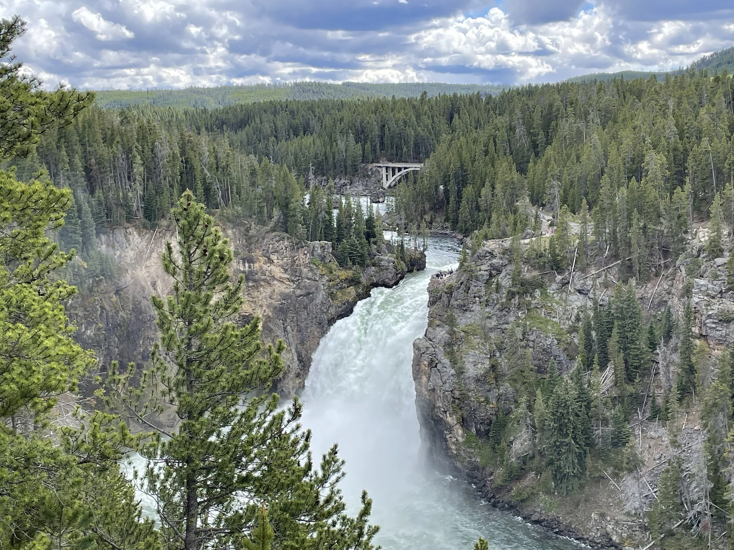 Yellowstone and Grand Teton National Parks