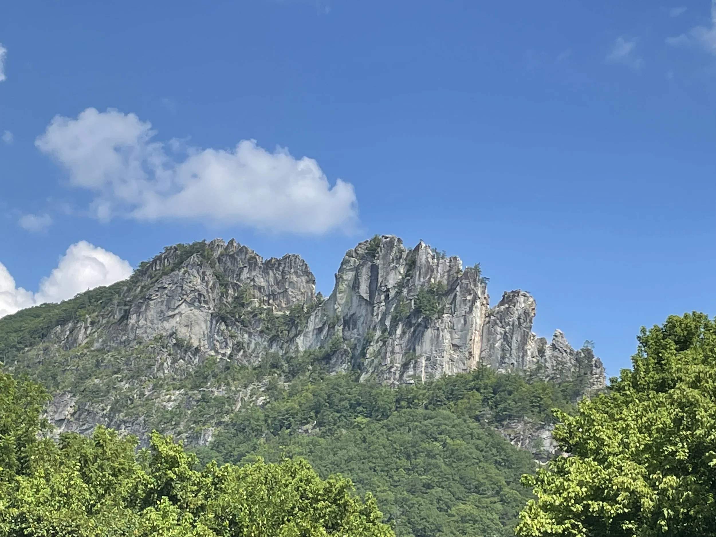 Cliffs, Craggs and Mountain Bogs of Northern West Virginia