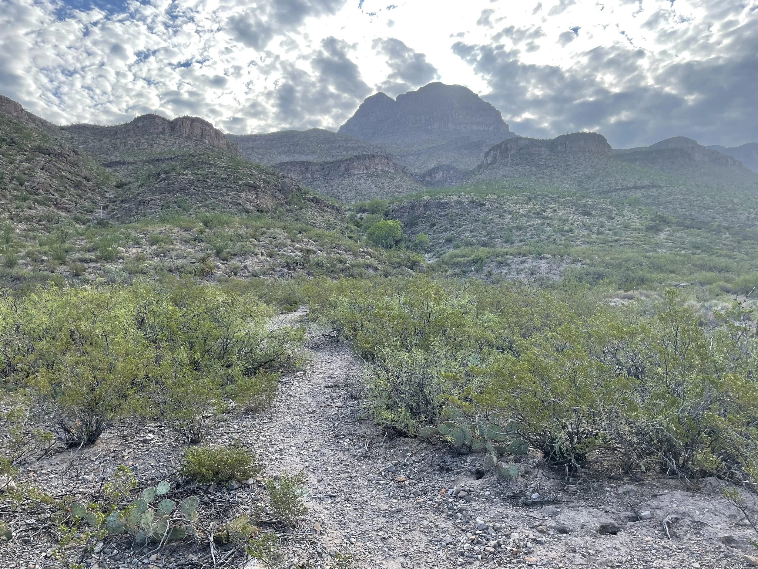 New Mexico’s Chihuahuan Desert