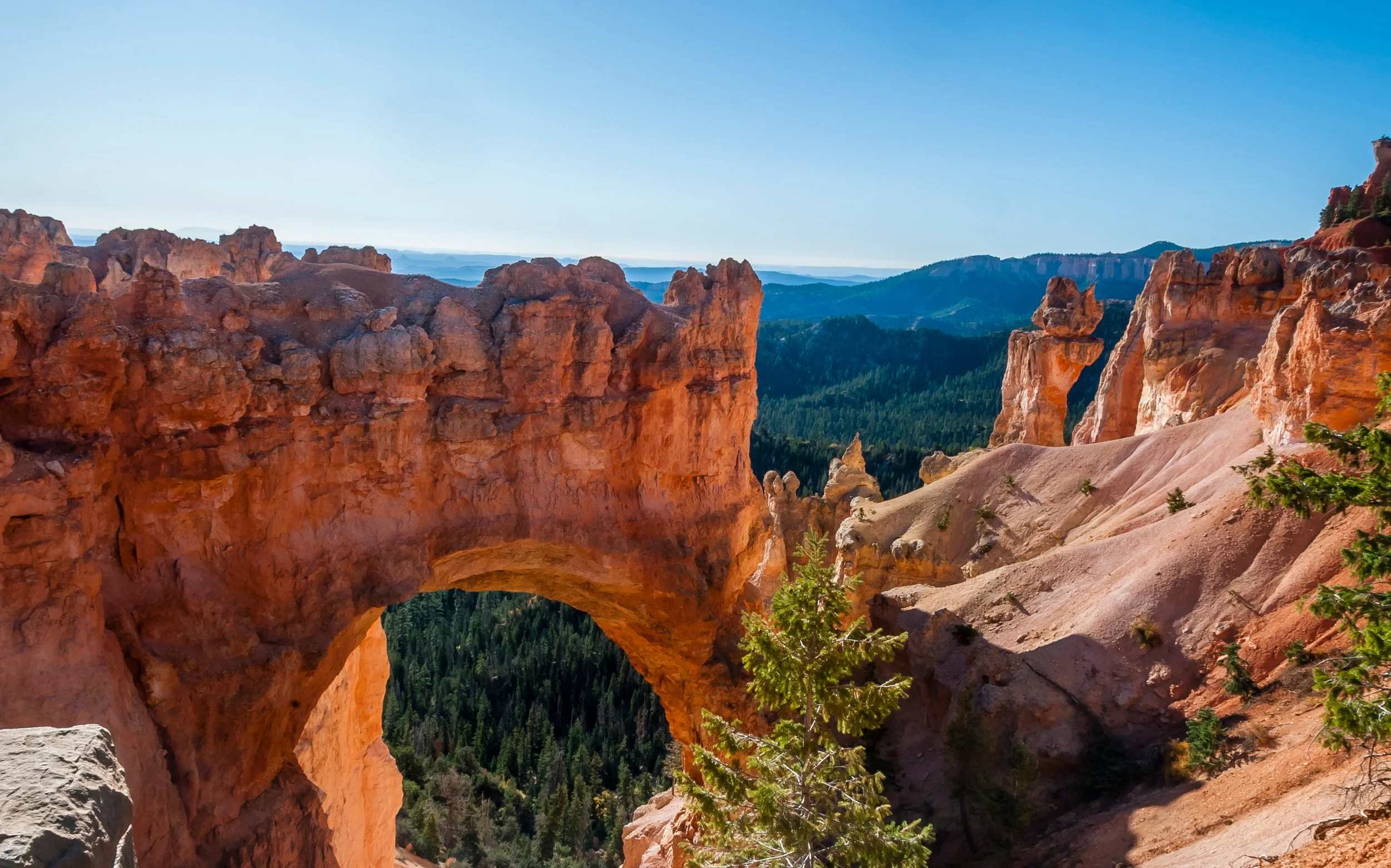 Bryce Canyon and Zion National Parks