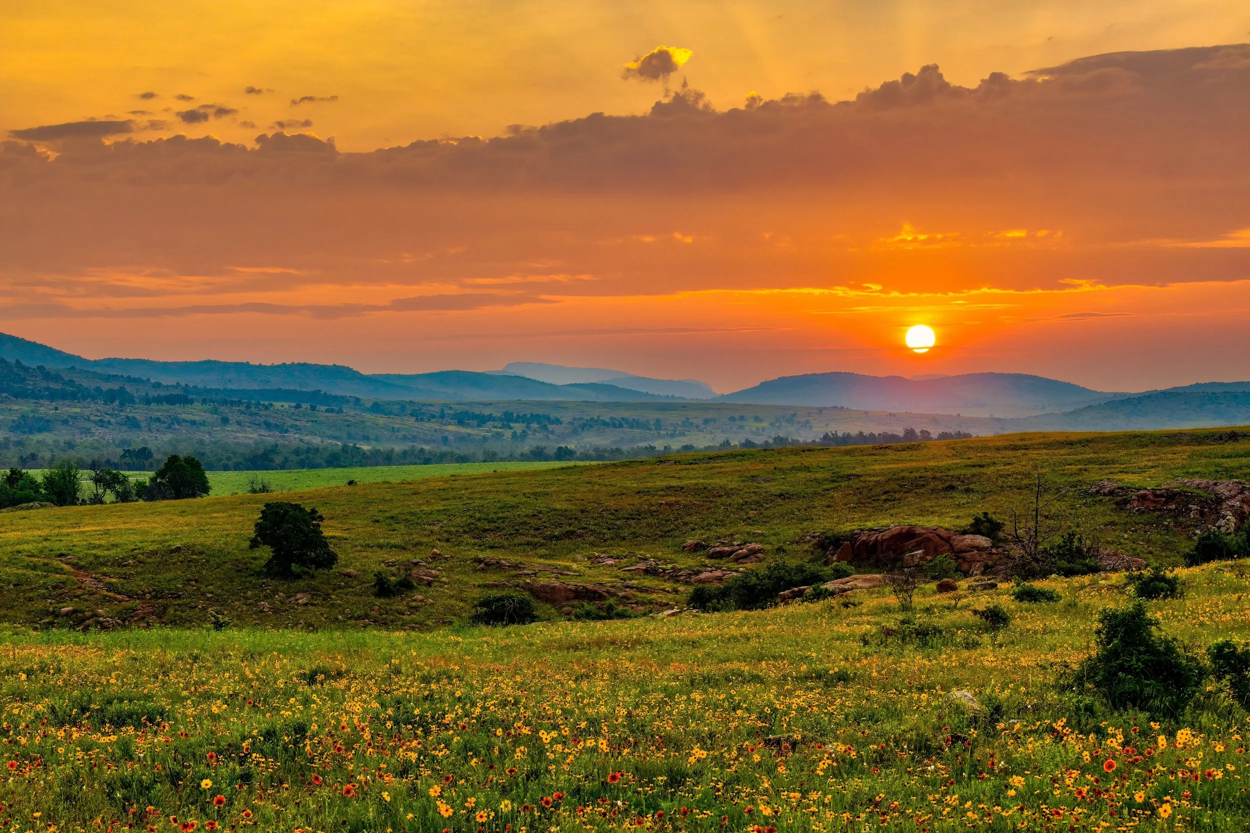 shutterstock_2481580543 (1).jpeg