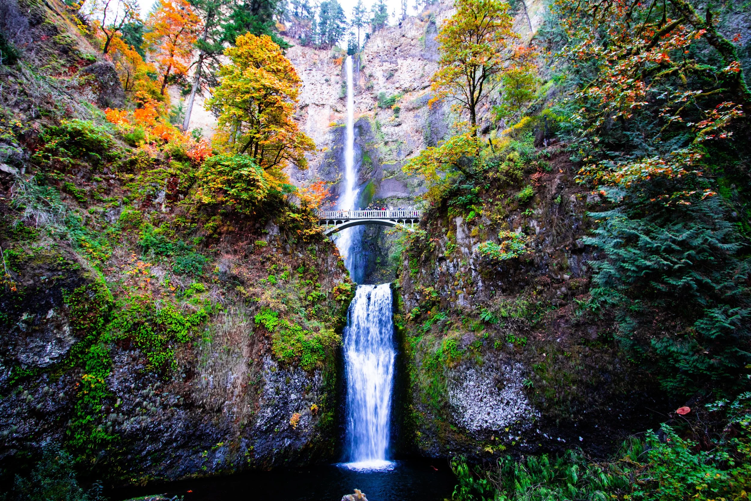 shutterstock_multnomah-fallssmall.jpeg