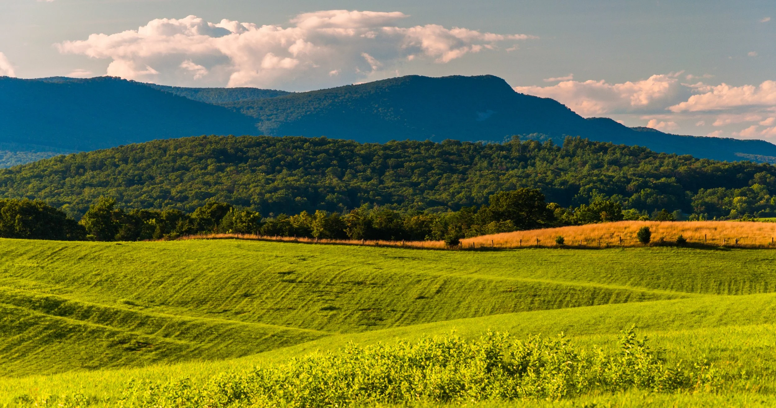 Northern Shenandoah Valley