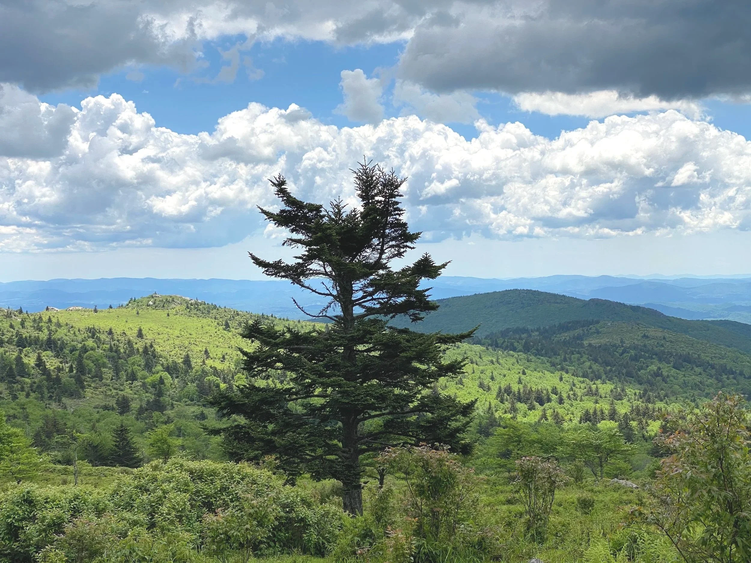 Southwestern Virginia—Mountains, Channels and America’s Musical Roots