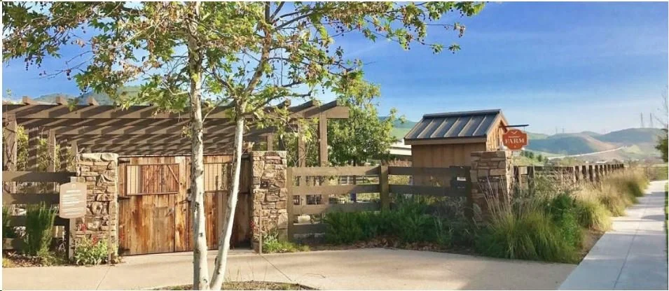 The
Sendero Community Garden includes in-ground row crops, raised planter beds, fruit trees, perennial edibles and flowers, a composting system with loading access, a chicken coop, a hoop house, a children’s play area, picnic tables, a farm stand, an