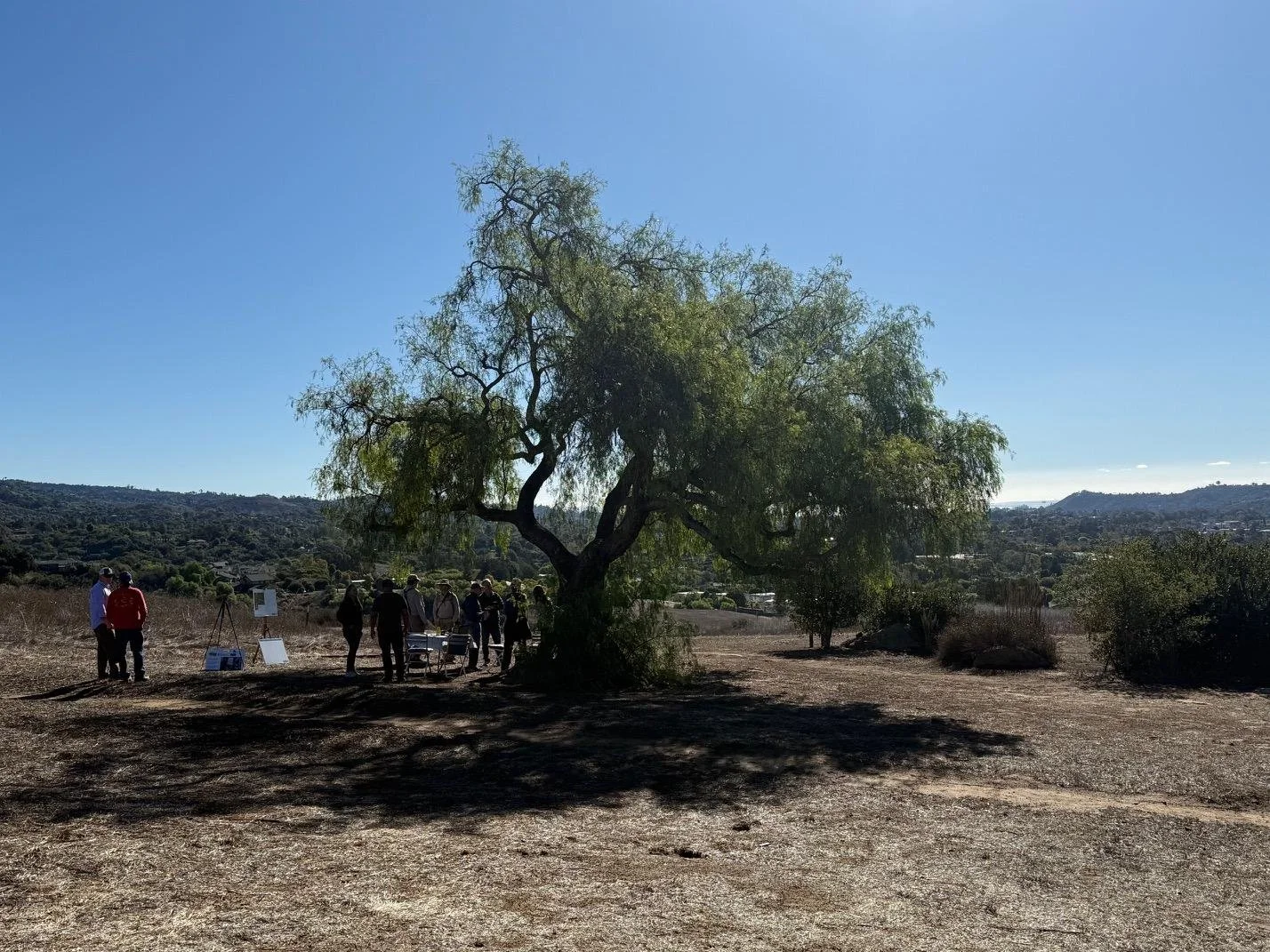 Above all, the project strives to create an entry sequence that strengthens our connection to place—welcoming the community into a landscape that is both cared for and wild, both accessible and awe-inspiring, and always grounded in the shared respons