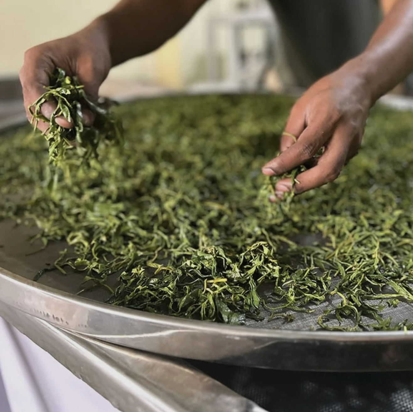 Silver Yeta Tea.png