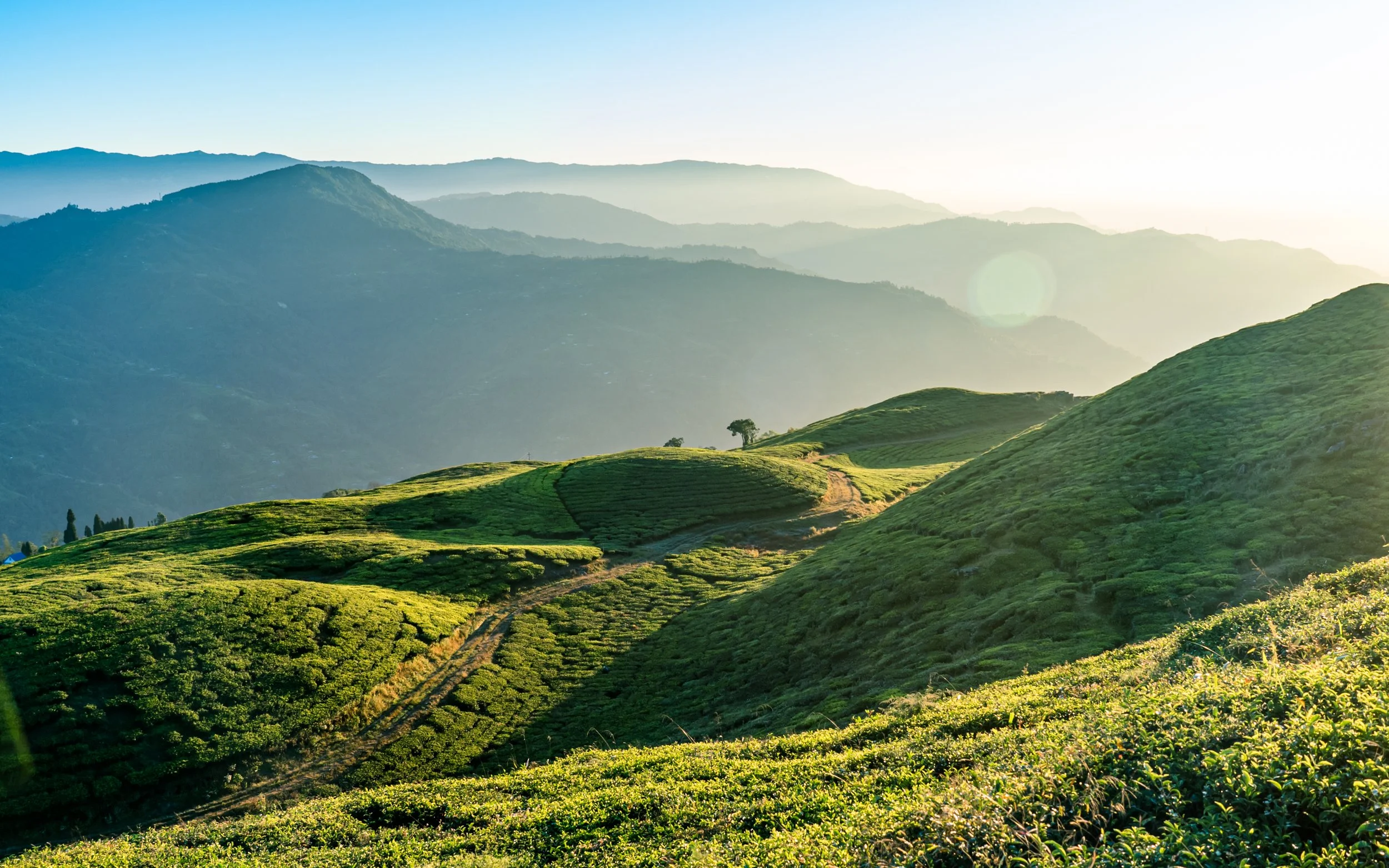 iStock-2157060539.jpg