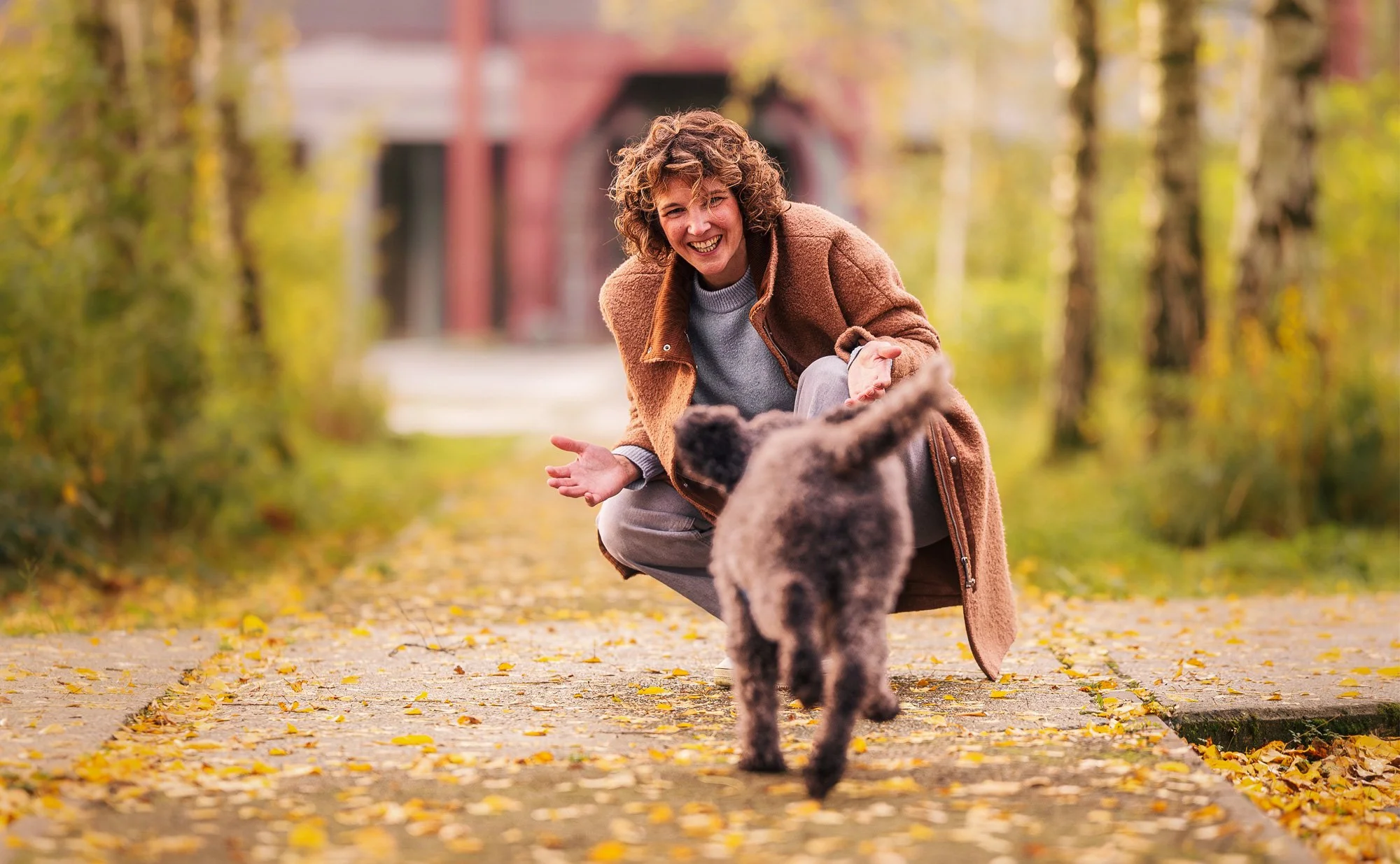 Ein Hund rennt freudig auf deine Besitzerin zu während eines Hundefotoshootings in herbstlicher Umgebung.