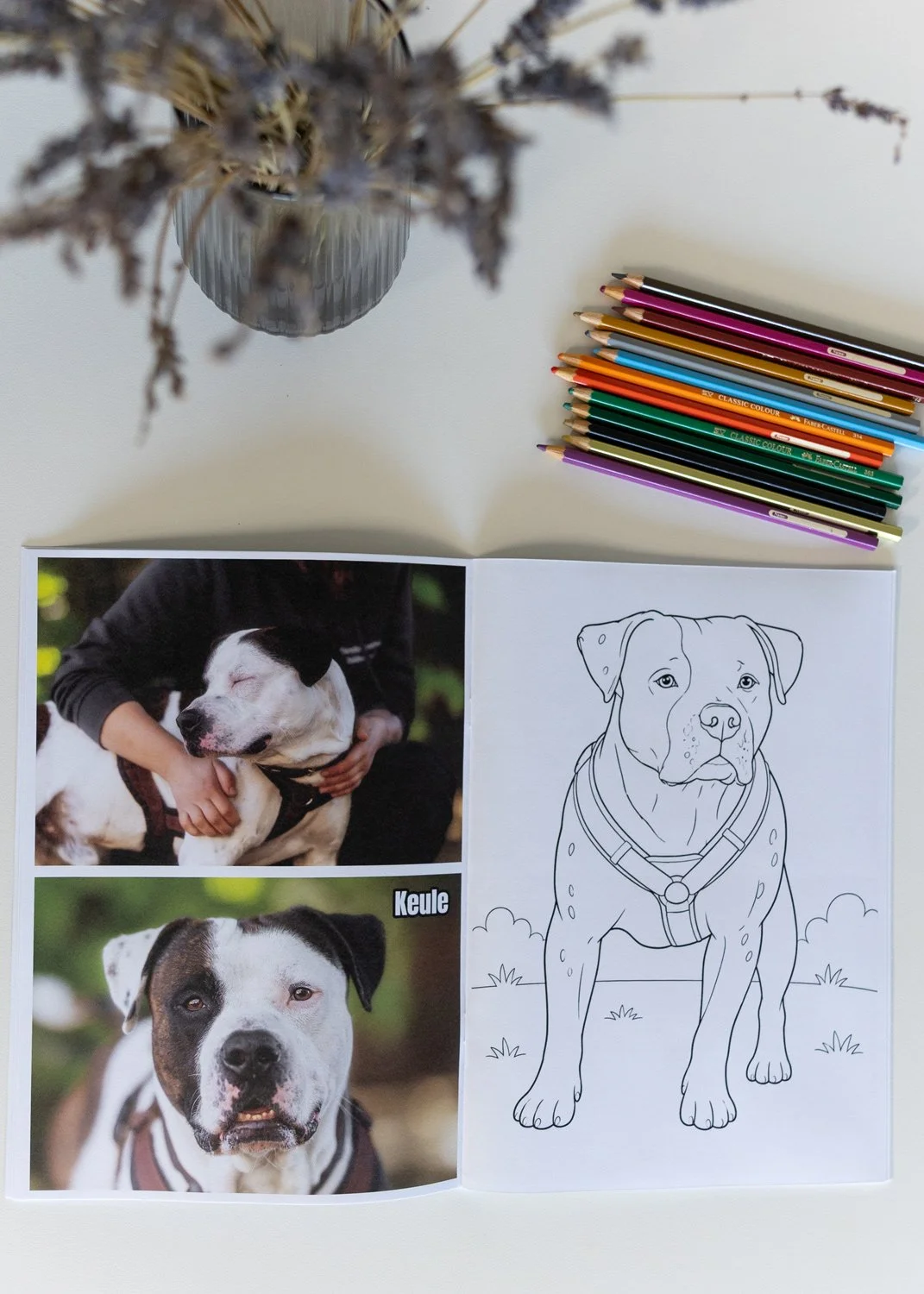Tierheimhunde-Ausmalen-2_3.jpg
