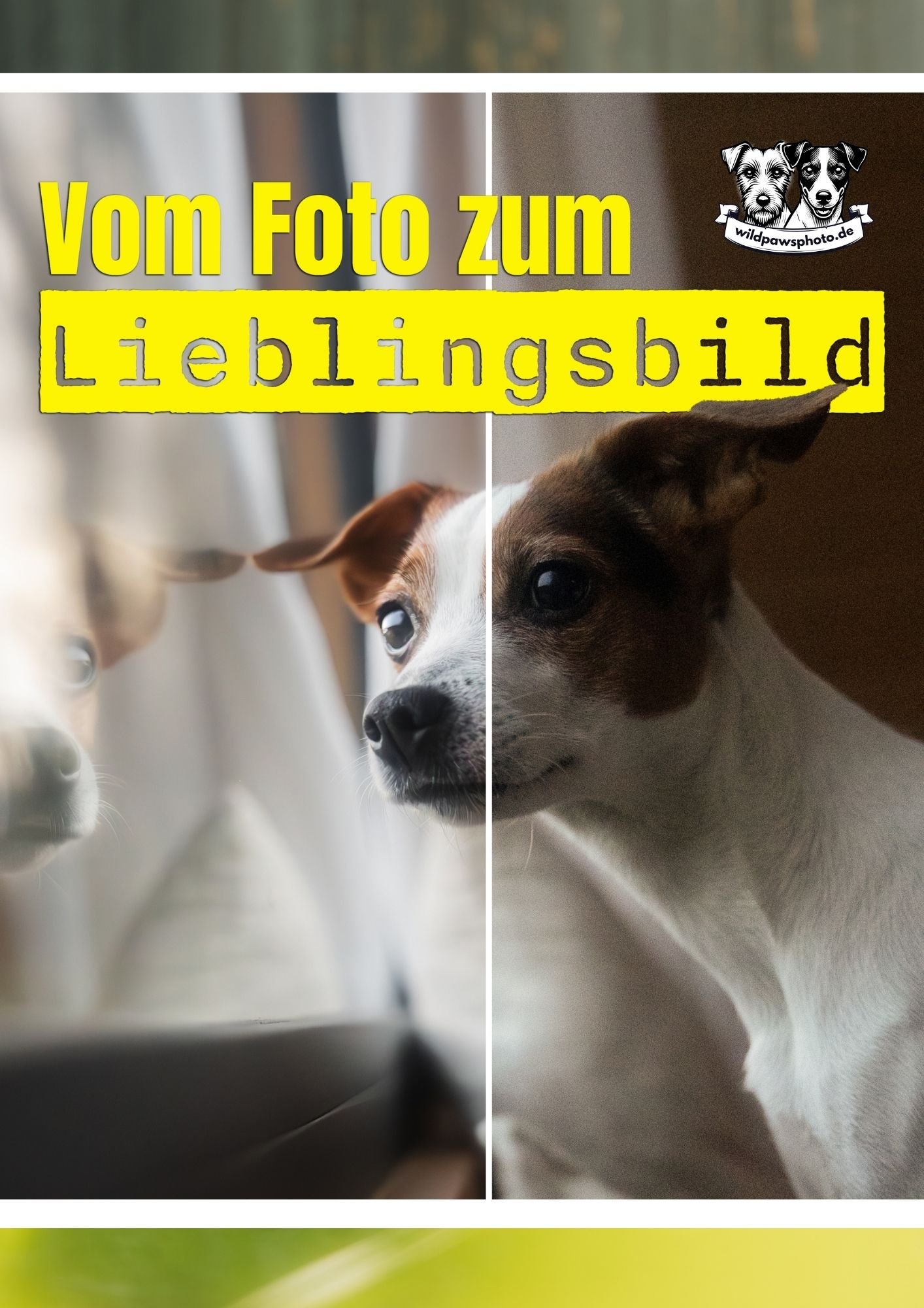 Freebie-Bildbearbeitung-Lernen-1.jpg