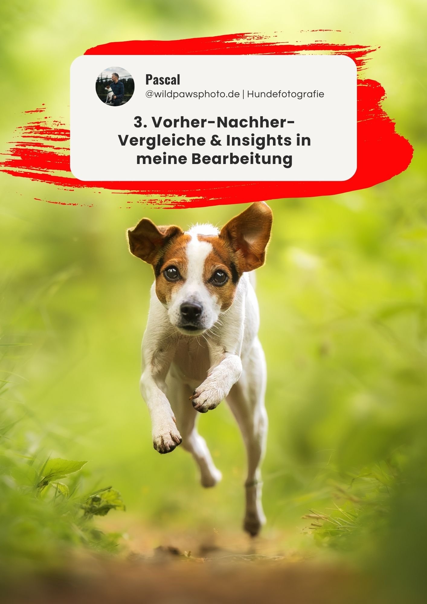 Freebie-Bildbearbeitung-Lernen-2.jpg