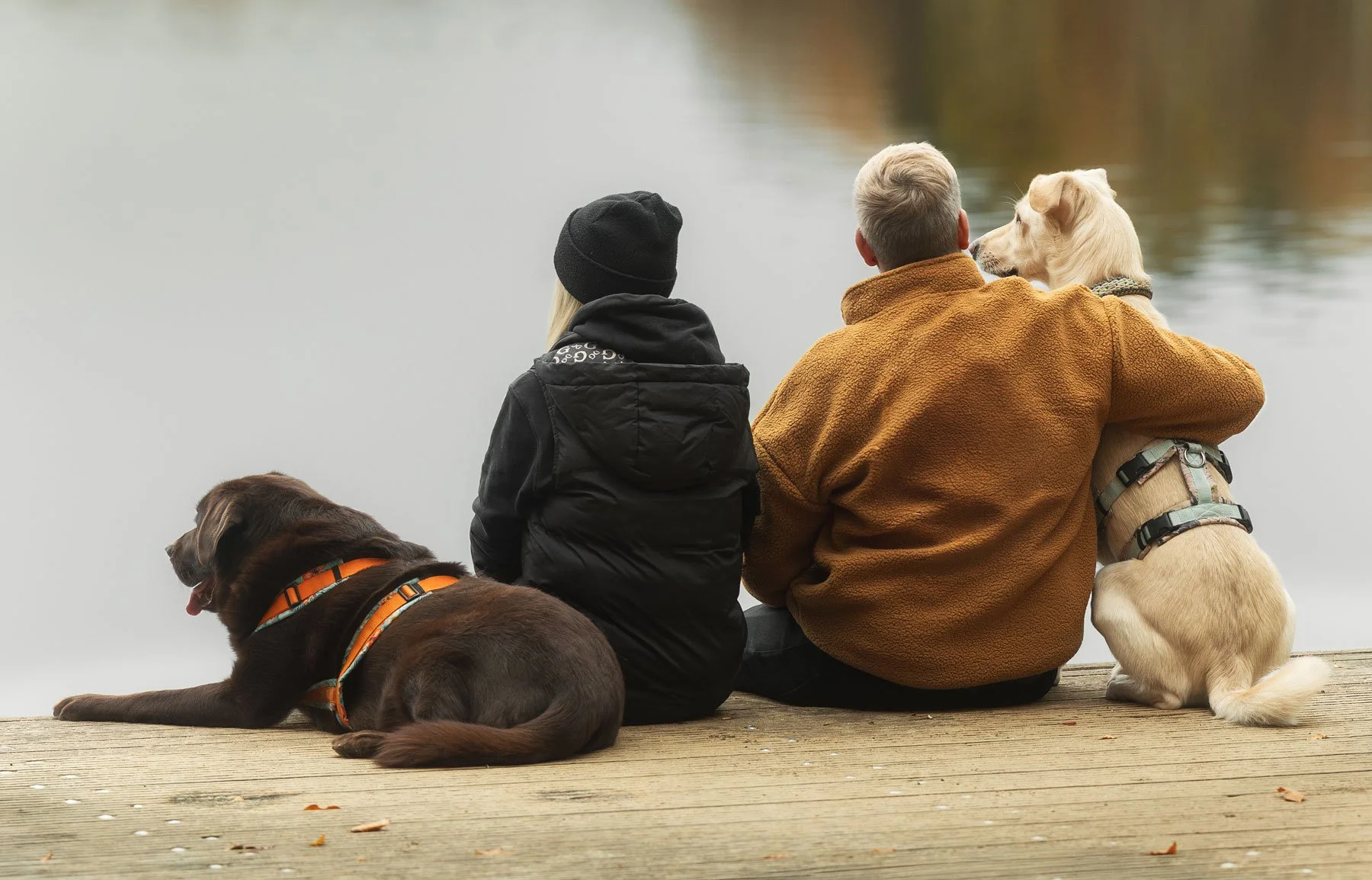 Warum ich nicht mit der Vergänglichkeit deines Hundes werbe