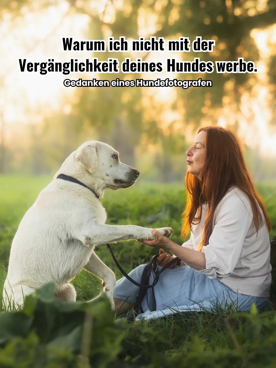 In der Hundefotografie begegnet mir eine Botschaft immer wieder: Unsere Zeit mit unseren Hunden ist begrenzt. Also sollten wir Erinnerungen schaffen, solange sie noch da sind.

Ich verstehe sehr gut, warum viele Fotograf:innen so kommunizieren und tr