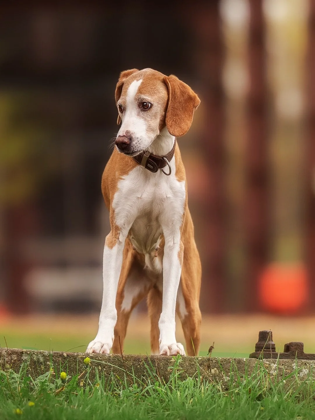 Zum Ostersonntag gibt&rsquo;s heute ein erstes Bild von unserem gestrigen Event 🙃😍 Ich hab zwar noch einige Bilder, die ich dir von zur&uuml;ckliegenden Sessions noch nicht gezeigt habe - aber irgendwie wollte ich nach dem tollen Vormittag gestern 