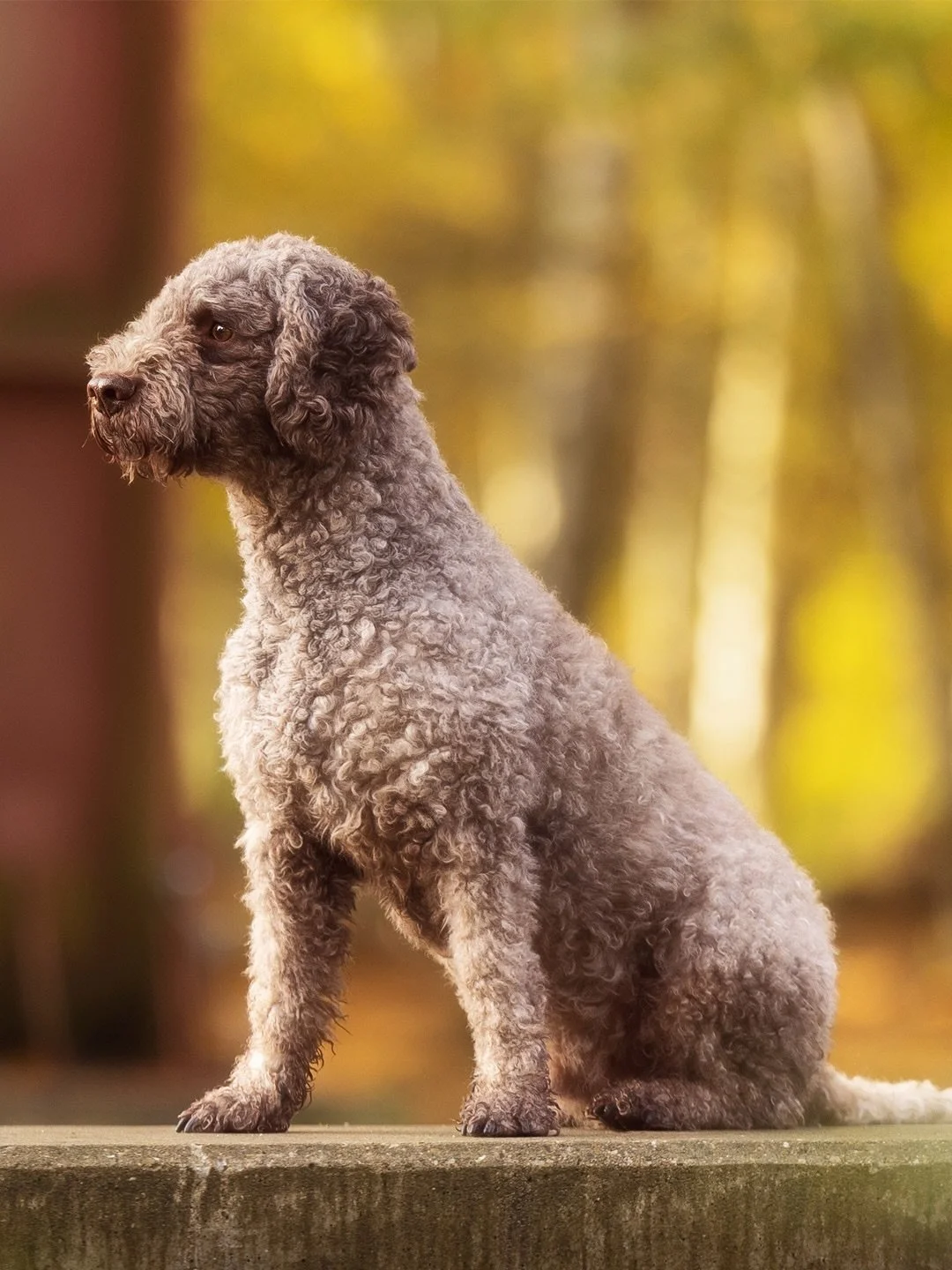 Wir starten ins Wochenende mit einem meiner Lieblingsfotos aus der Session mit dem s&uuml;&szlig;en Bo @bo2go_ 🙃

Die letzten Tage waren richtig intensiv bei mir und gerade heute auch anstrengend. Daher belasse ich es f&uuml;r heute mit der kurzen M