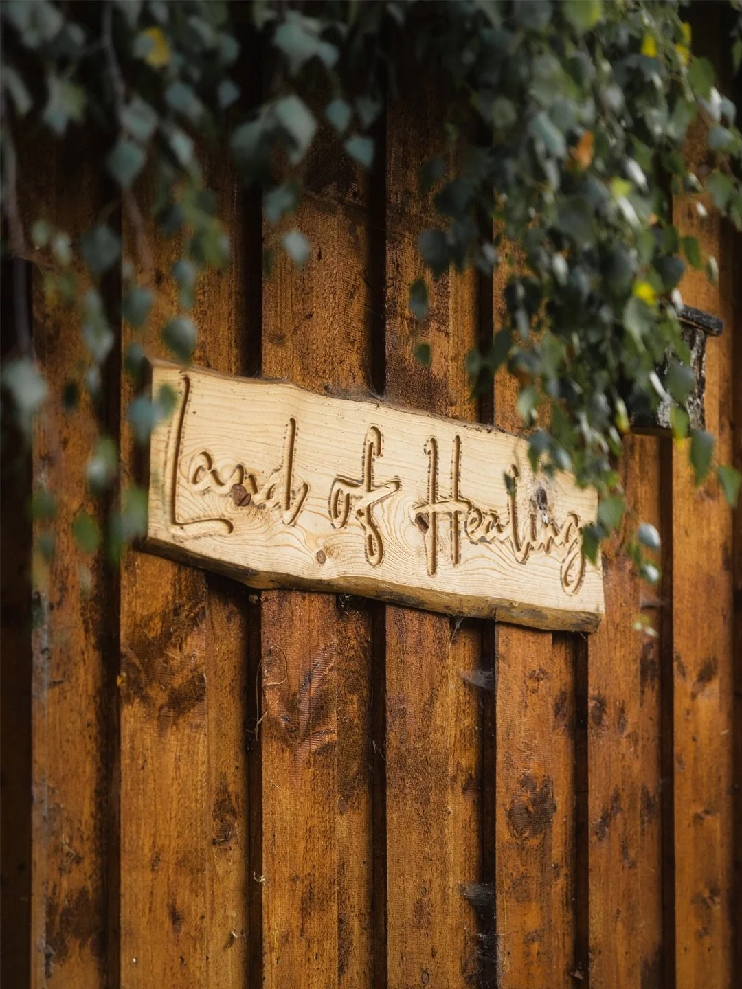 Passend zu meiner heutigen Story teile ich heute Einblicke zu einem ganz besonderen Erlebnis und Fotoshooting: dem @landof.healing 🍀

Dieser Lebenshof in der L&uuml;neburger Heide ist ein wirklich besonderer Ort. Wo fr&uuml;her ein Schweinemastbetri