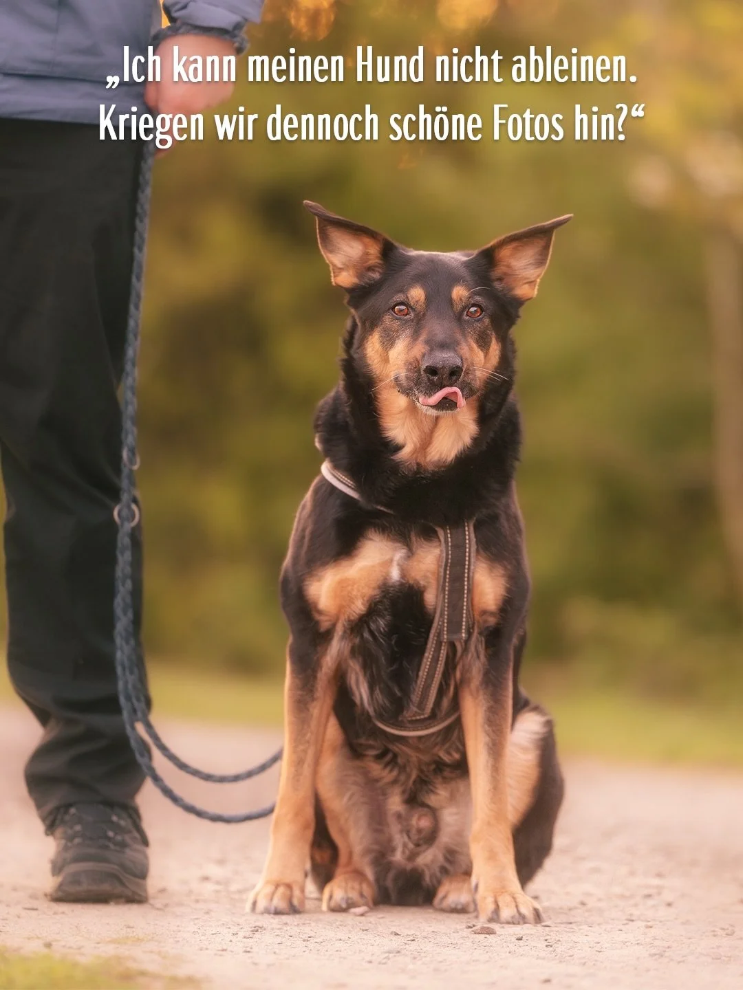 &bdquo;Ist es schlimm, dass ich meinen Hund nicht von der Leine lassen kann? Kriegen wir dennoch sch&ouml;ne Fotos hin?&ldquo;

Fragen, die so oder so &auml;hnlich klingen h&ouml;re ich sehr oft. Nat&uuml;rlich auch, weil ich nicht selten mit Hunden 