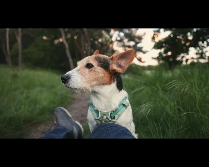 In meiner Story habe ich euch gefragt, ob ihr mehr Videos von meinem Locationcheck sehen wollt - also habe ich kurzerhand einen Post mit meinen sechs Lieblingsvideos von gestern Abend gemacht 😍.

N&auml;chste Woche werde ich dort eine sch&ouml;ne Fo