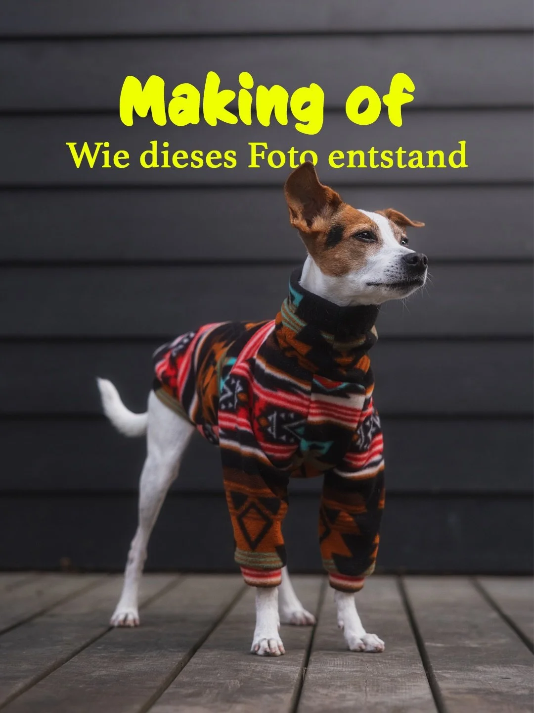 Heute mal was Neues: ich zeige dir, wie dieses Foto von Syra entstanden ist 🔎

Das Bild von Syra habe ich f&uuml;r @happy.pooch gemacht - Syra tr&auml;gt hier n&auml;mlich ihre neueste Errungenschaft, ein neues und kuschliges Fleece.

Warum ich dies