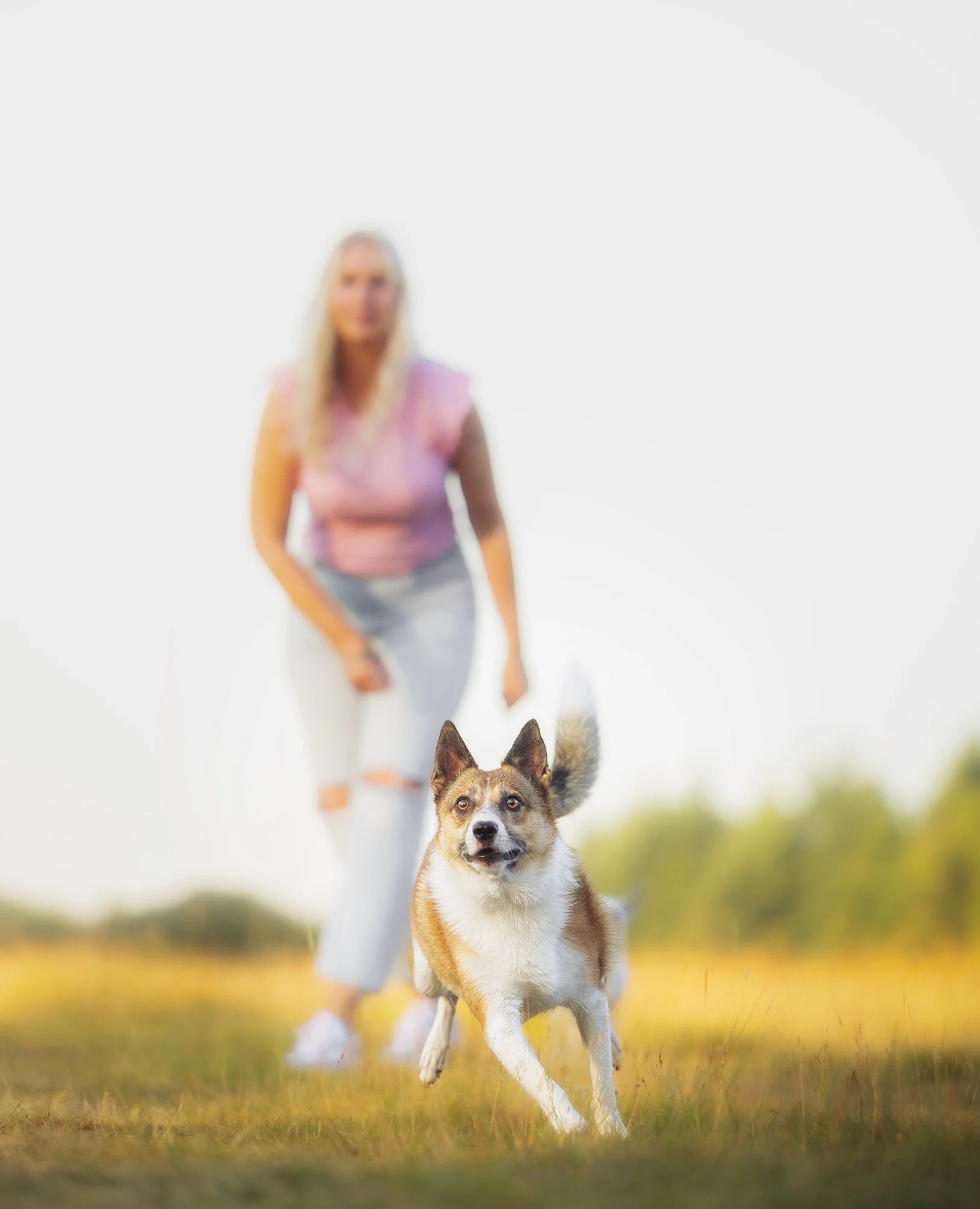 Ein Hund rennt seinem Spielzeug hinterher. Im Hintergrund ist noch verschwommen seine Besitzerin zu sehen.