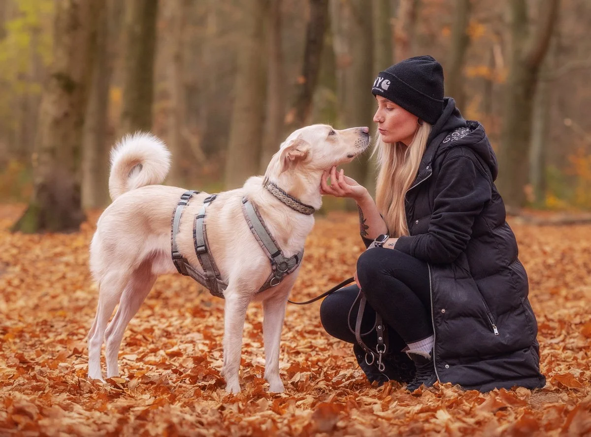 Eine Frau genießt einen intensiven Moment mit ihrem Hund im herbstlichen Wald während eines Outdoor Fotoshootings für Hundebesitzer.
