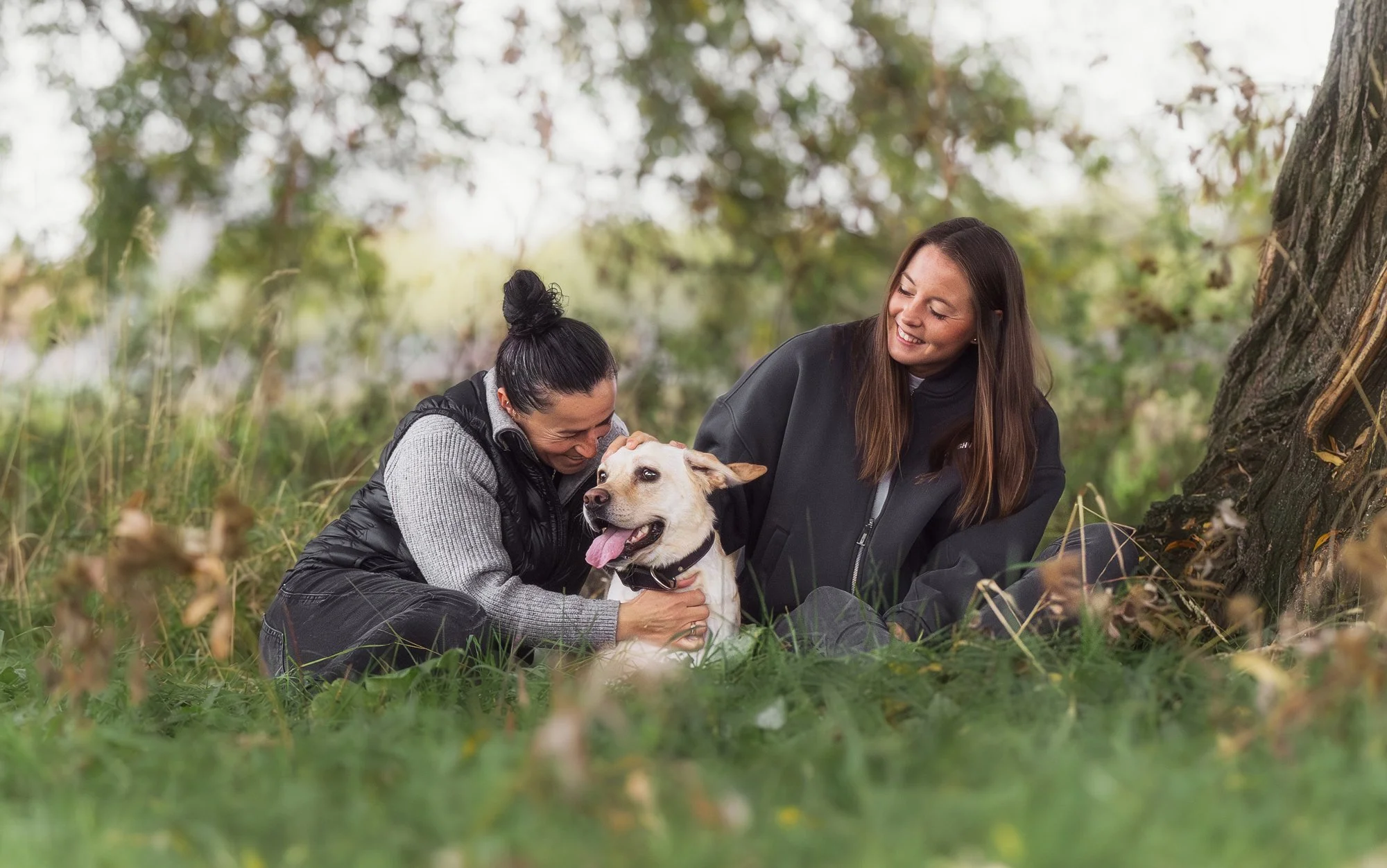 Ein Paar sitzt mit ihrem Hund auf einer Wiese und beide streicheln liebevoll den Hund. Februar 2026.