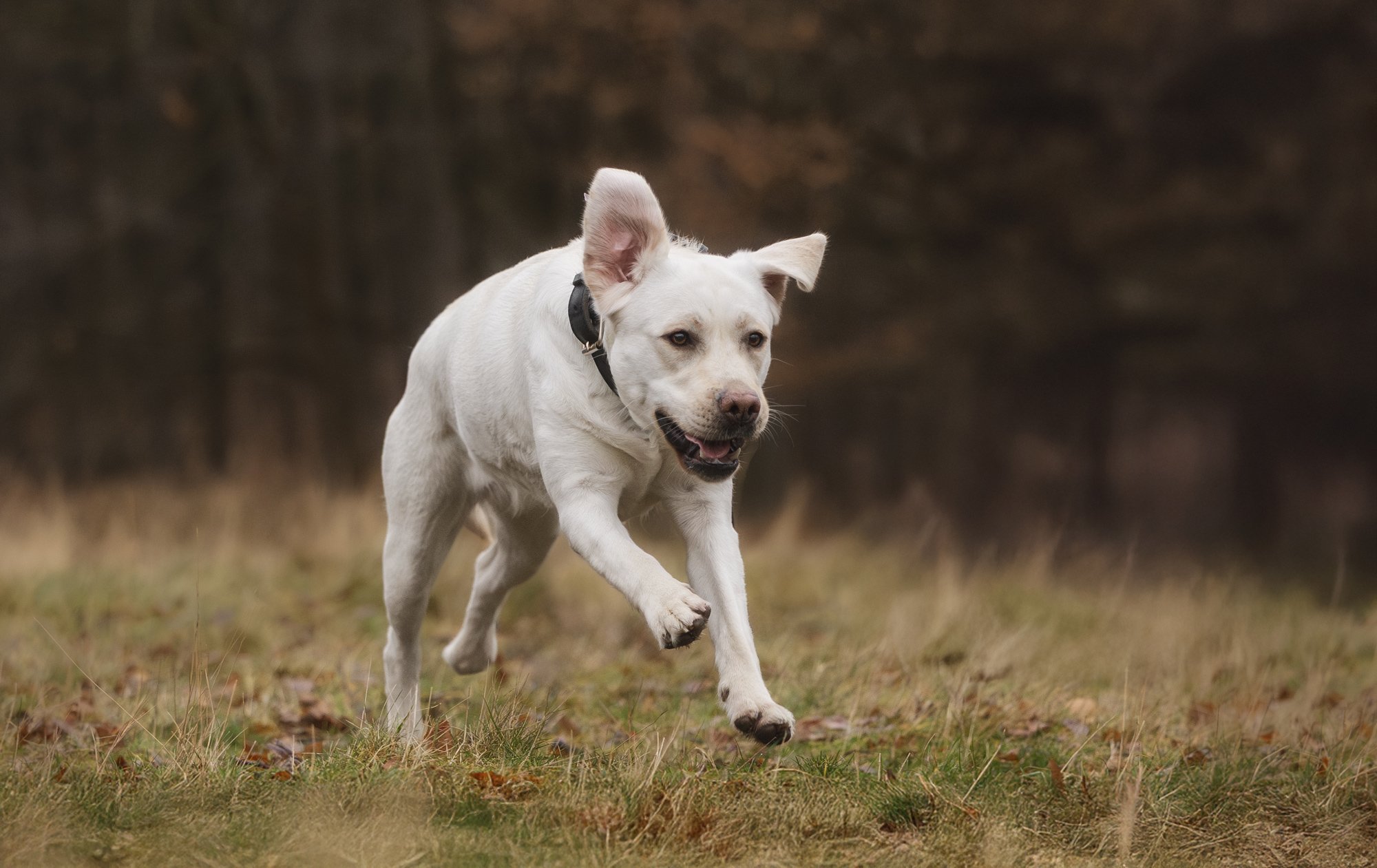 Social-Walks-Jessica-4.jpg (Kopie) (Kopie)