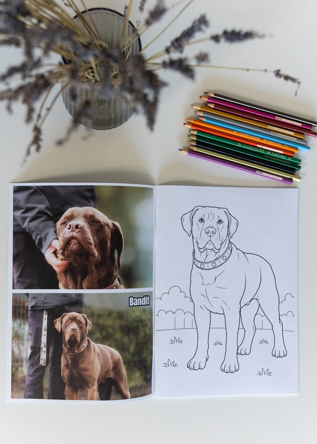 Tierheimhunde-Ausmalen-2_2.jpg