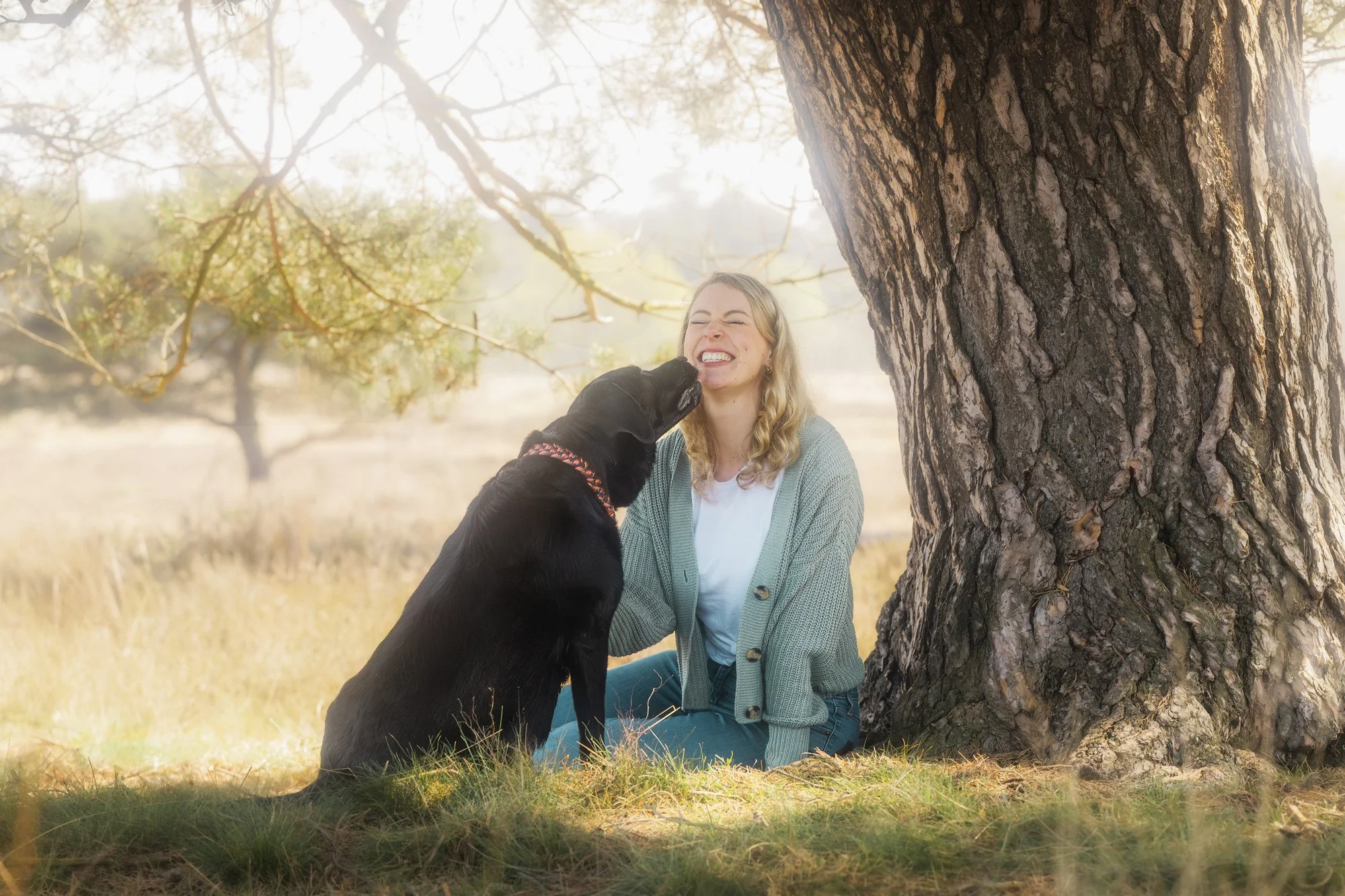 Eine Frau sitzt mit ihrem Hund unter einem Baum und der Hund schleckt ihr das Gesicht ab, was die Frau zum Lachen bringt.