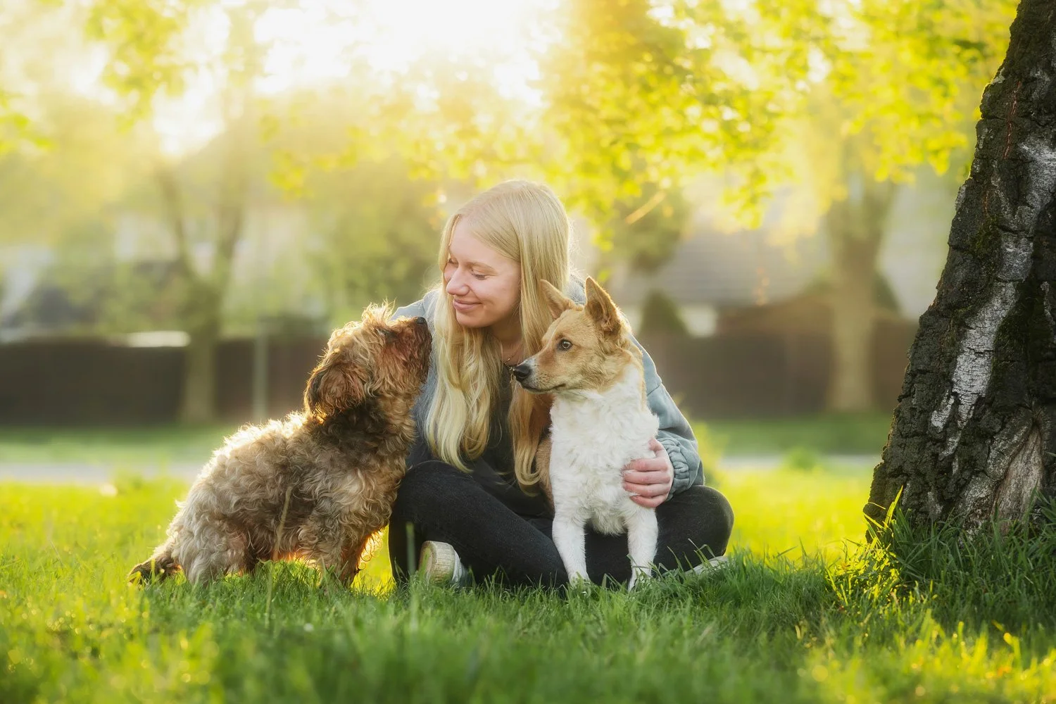 Eine Frau sitzt während eines Fotoshootings mit ihren beiden Hunden auf der Wiese im goldenen Licht des Sonnenaufgangs. Mai 2026.