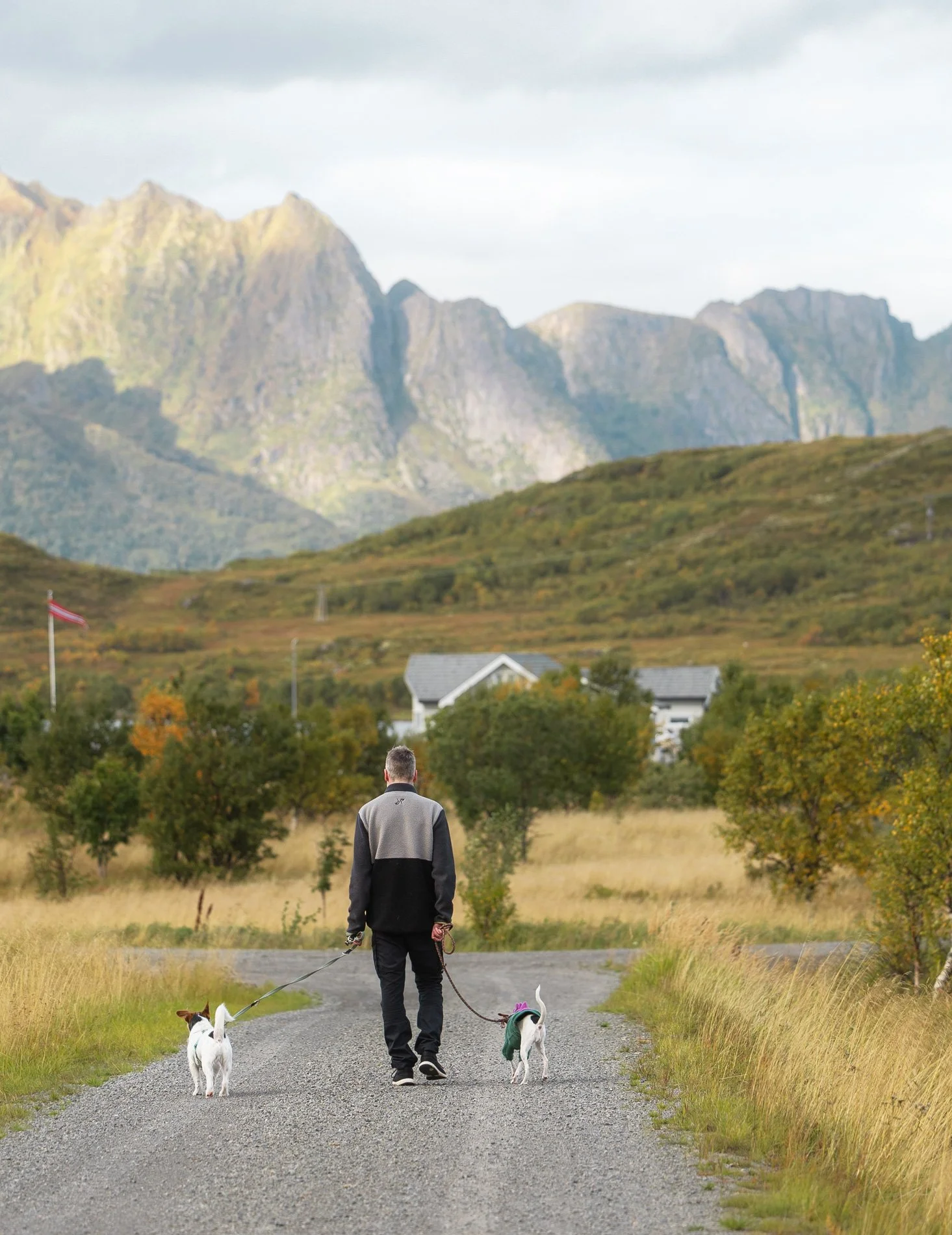 Ein Mann läuft mit seinen Hunden vor einer beeindruckenden Bergkulisse in Norwegen.