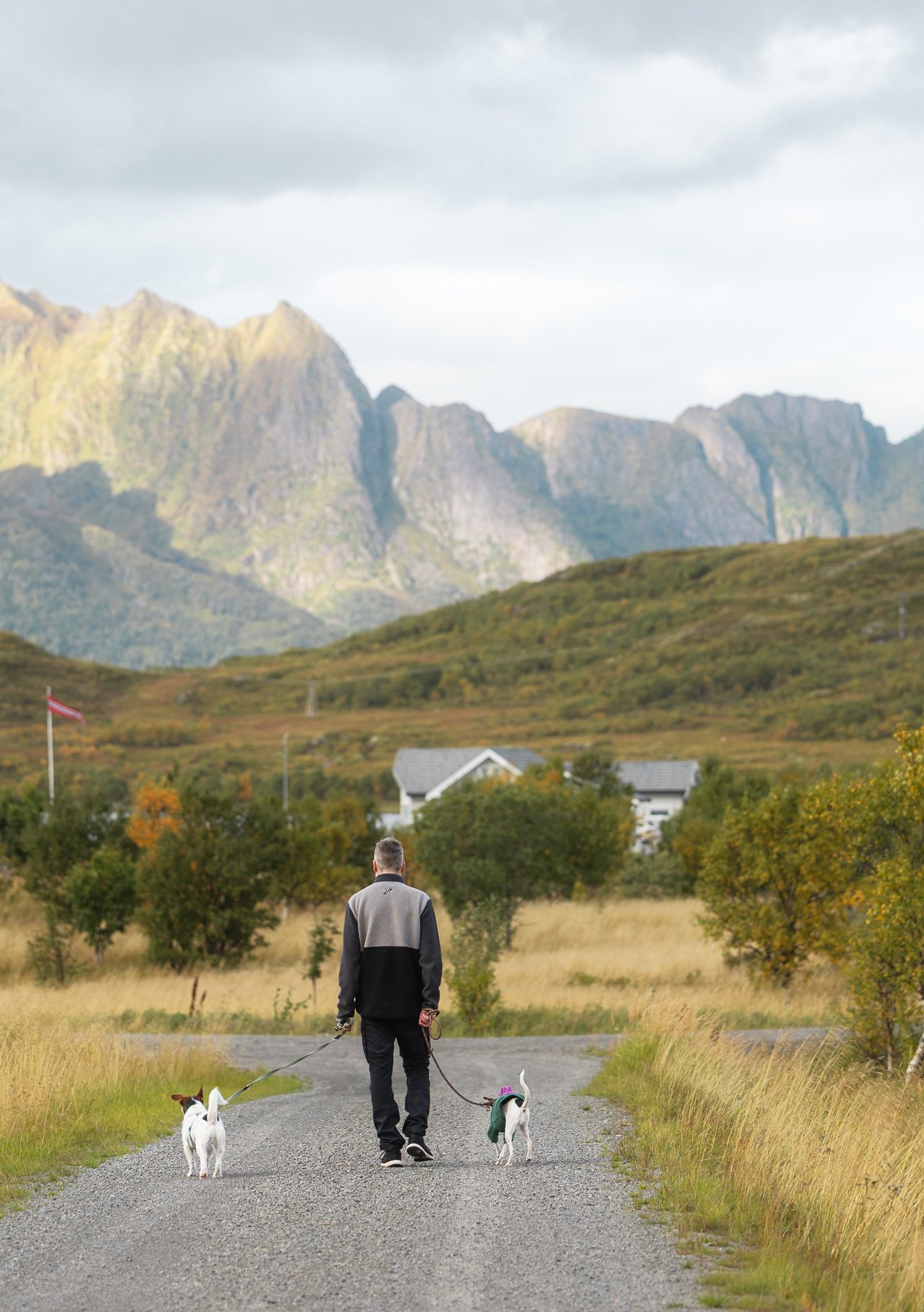 Ein Mann läuft mit zwei Hunden auf eine beeindruckende Bergkulisse zu.
