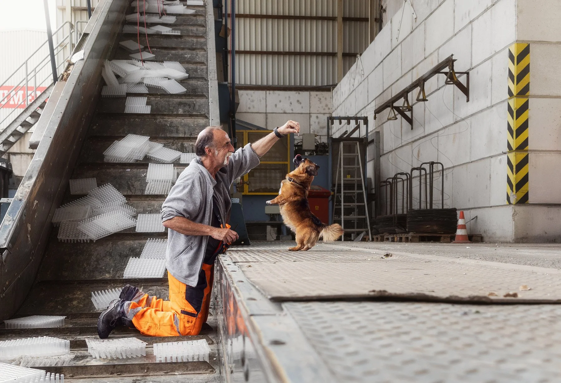 Ein Mann in Arbeitskleidung kniet vor einer großen Papppresse und spielt voller Freude mit einem Tierheimhund.