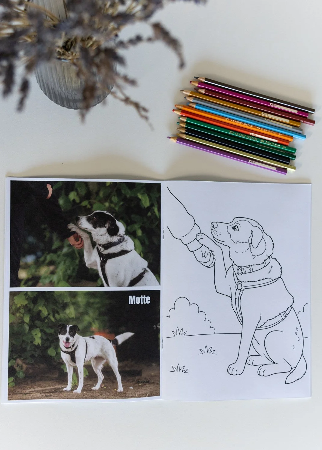 Tierheimhunde-Ausmalen-2_4.jpg