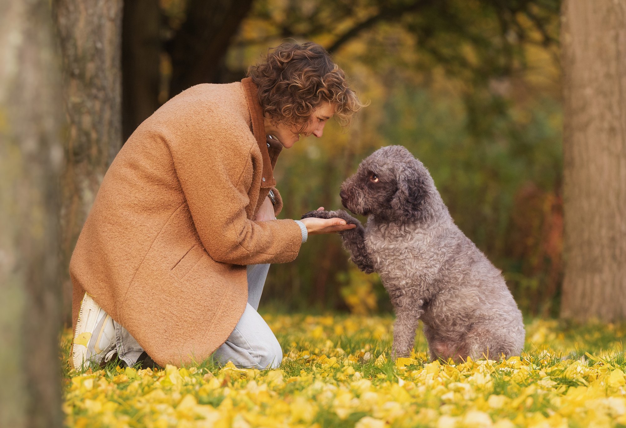 Eine Frau kniet vor ihrem Hund und hält seine Pfote während eines Outdoor-Fotoshootings zum Sonnenaufgang.