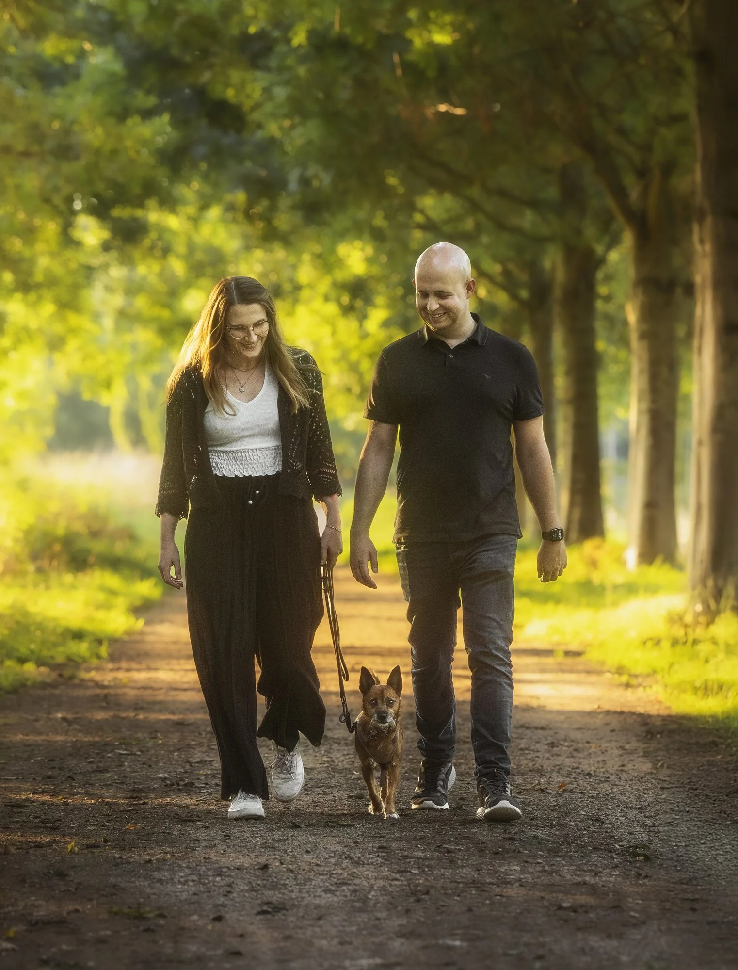 Ein Paar läuft mit ihrem Hund einen von Bäumen gesäumten Weg entlang.