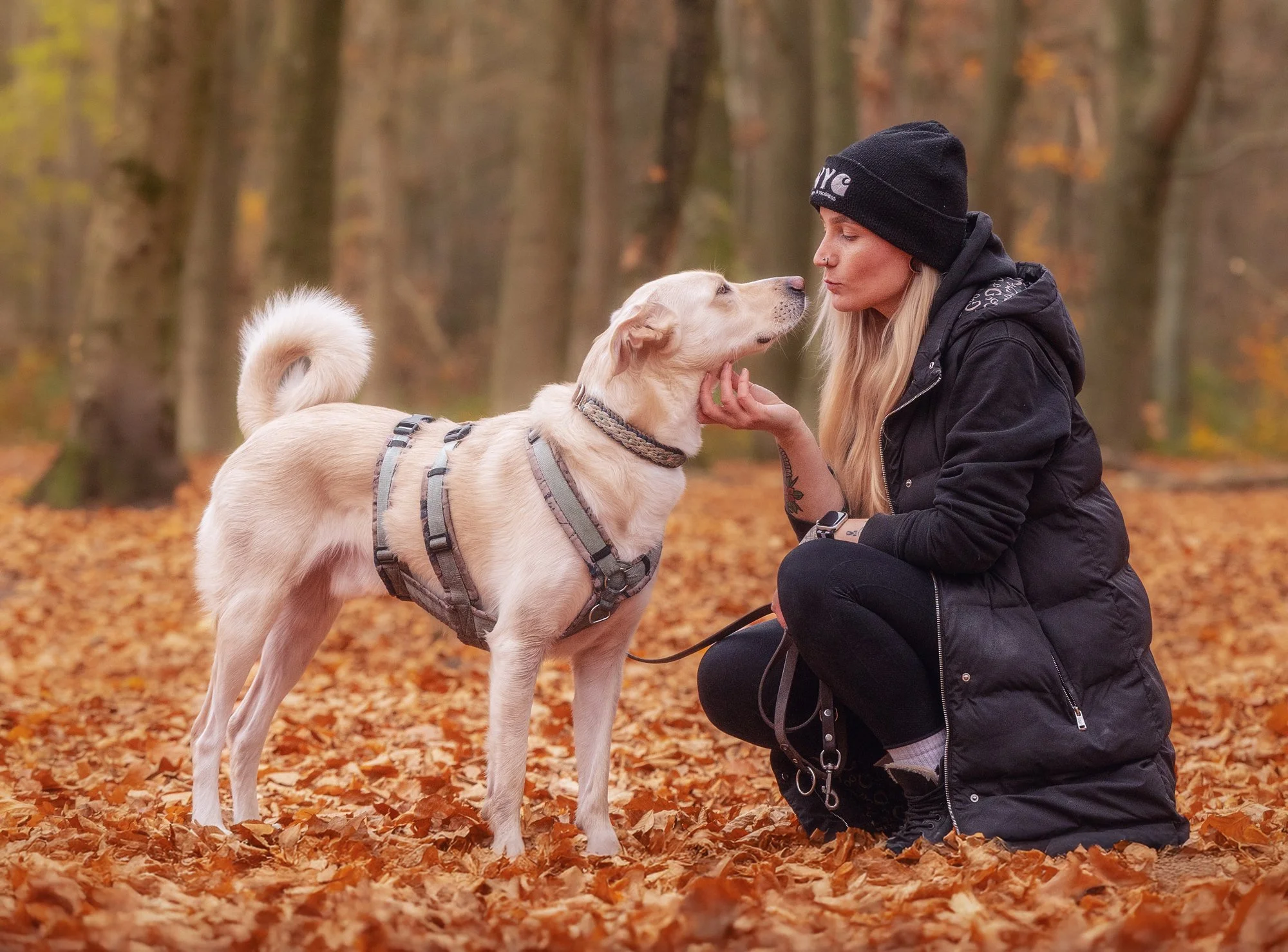 Eine Frau sitzt während eines Fotoshootings für Hunde und Menschen vor ihrem Hund und genießt einen schönen Moment mit ihm. März 2026.