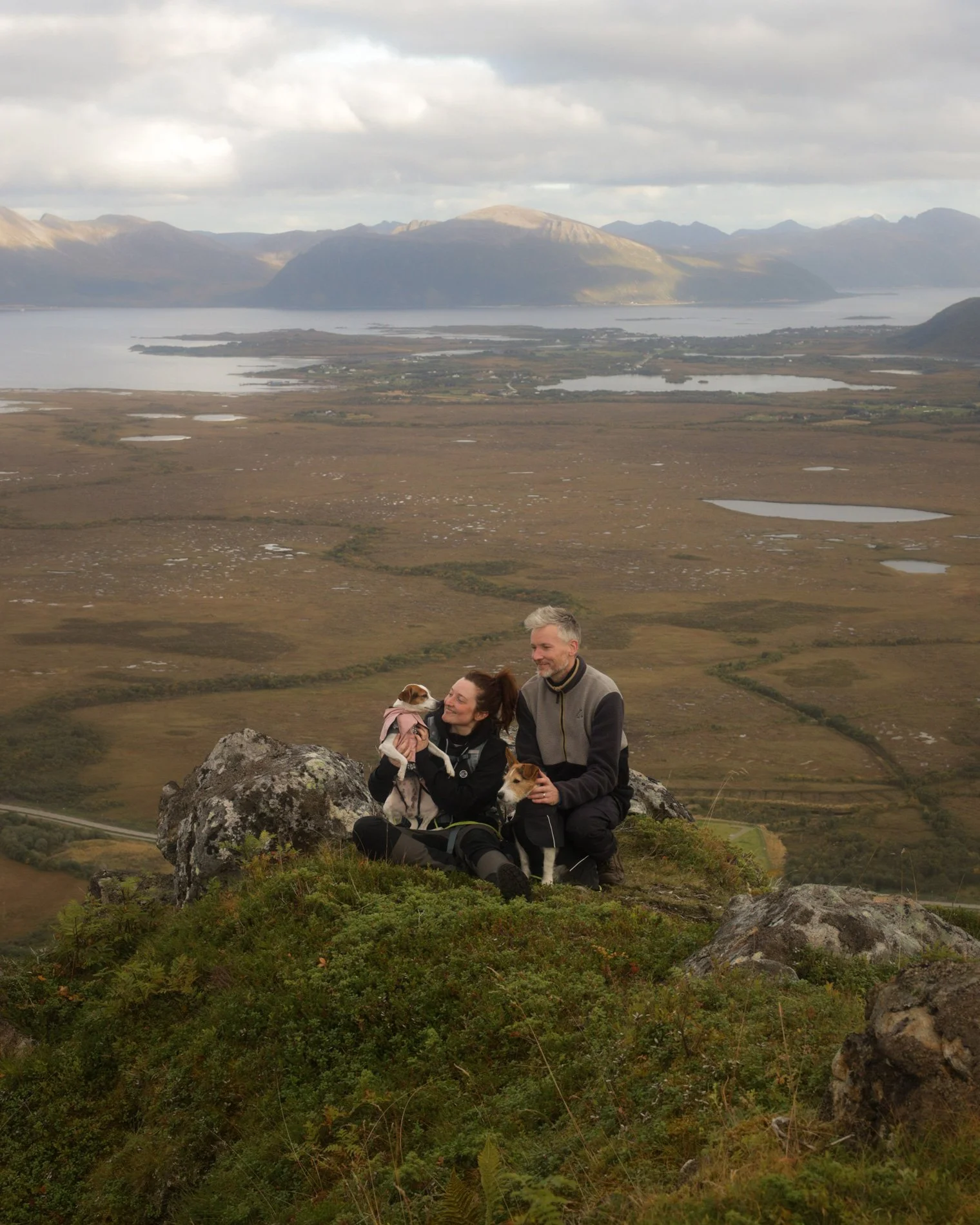 Ein paar sitzt mit ihren Hunden auf einem Berggipfel in Norwegen und genießt einen schönen Moment.