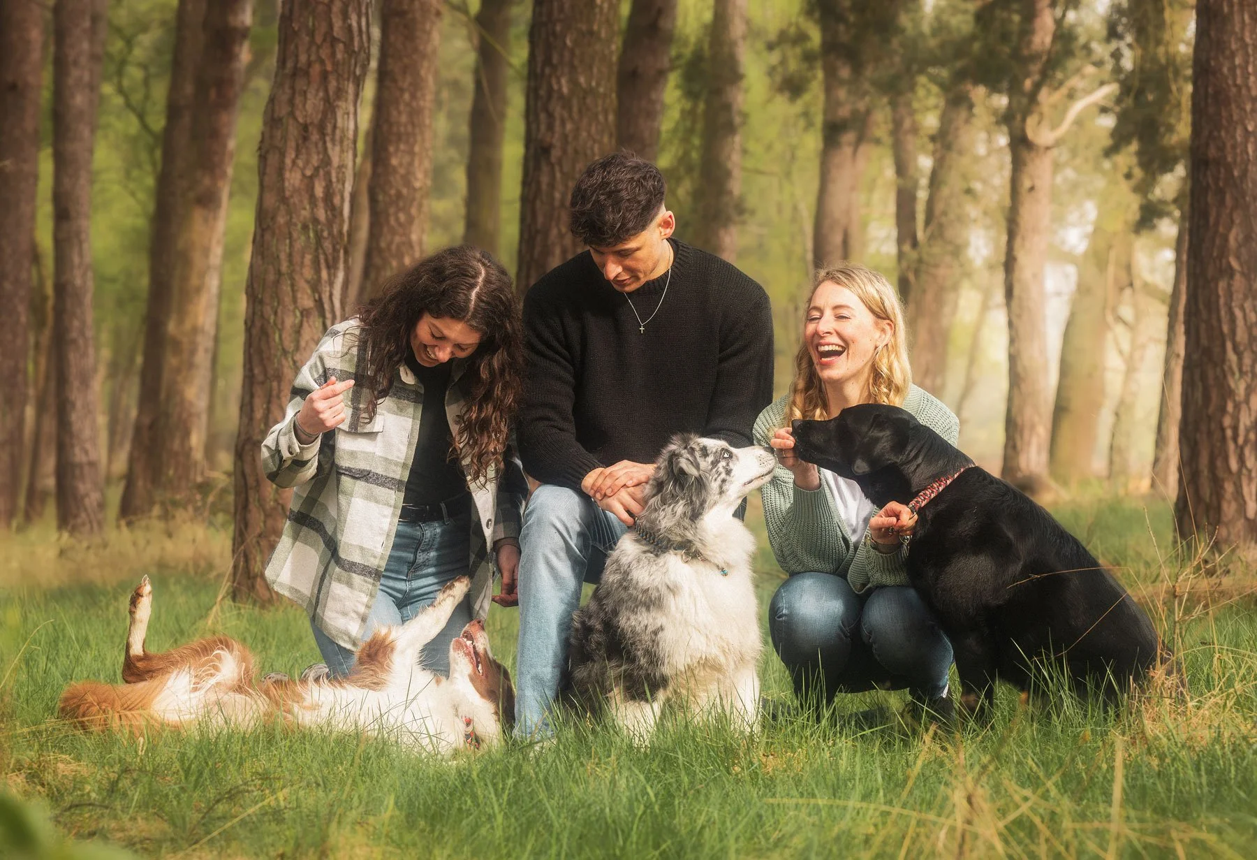 Drei Geschwister und ihre Hunde sitzen auf einer Wieder im Wald und genießen die gemeinsame Zeit bei einem Outdoor Fotoshooting für kleine Gruppen. März 2026.
