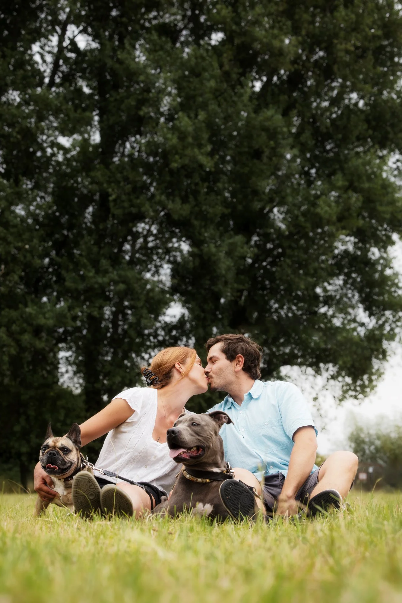 Ein Paar sitzt auf einer Wiese während eines Fotoshooting und küsst sich. Bei ihnen sitzen ihre beiden Hunde, die in die Ferne schauen.