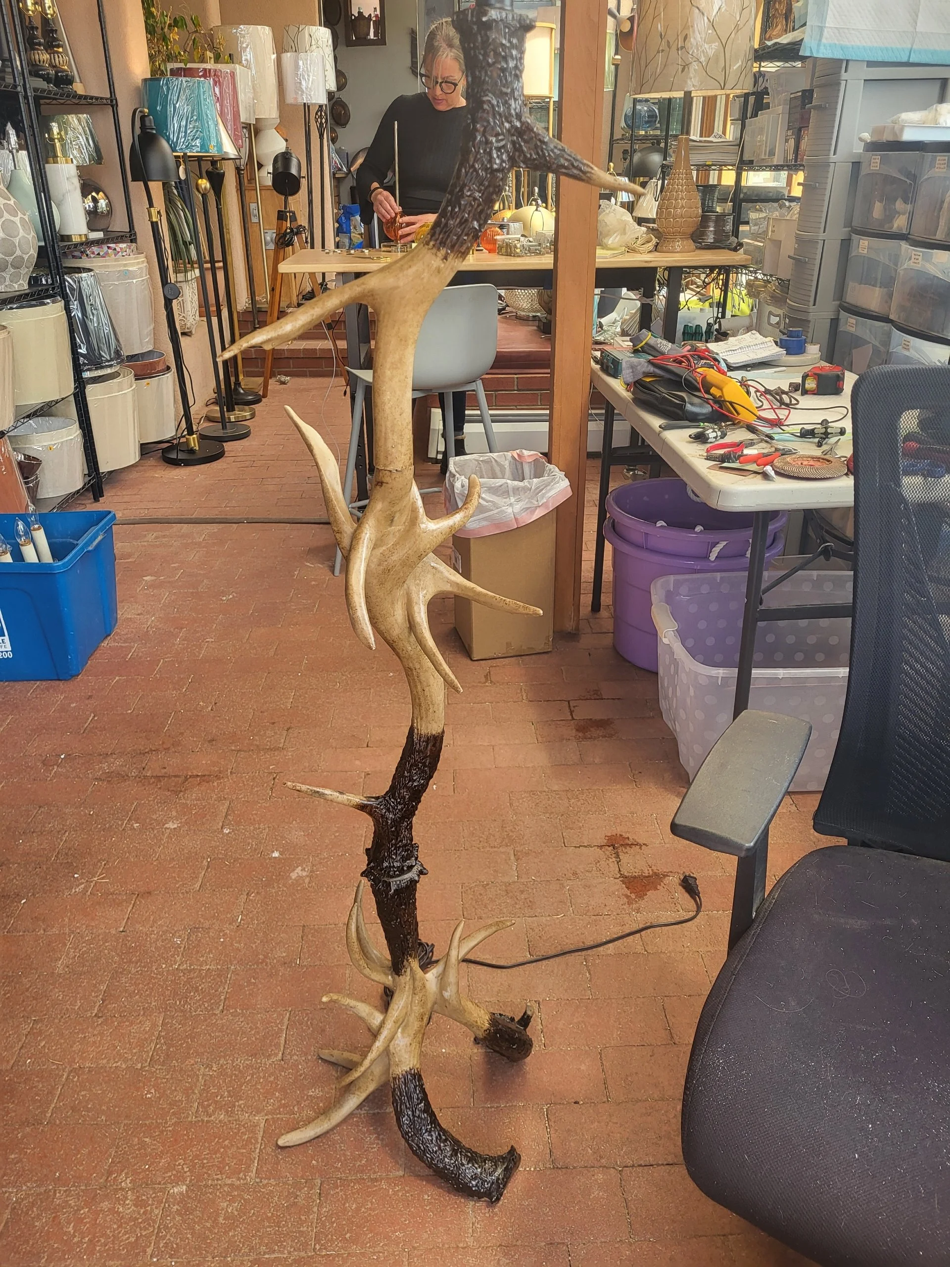 Resized_20250508_141152.jpeg