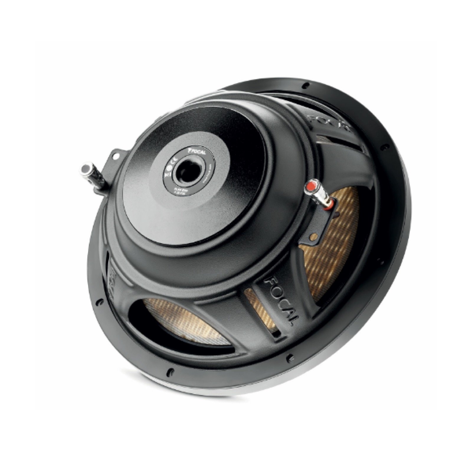 FOCAL 10%22 FLAX-EVO P25FSE SUB SLIM 3.jpg