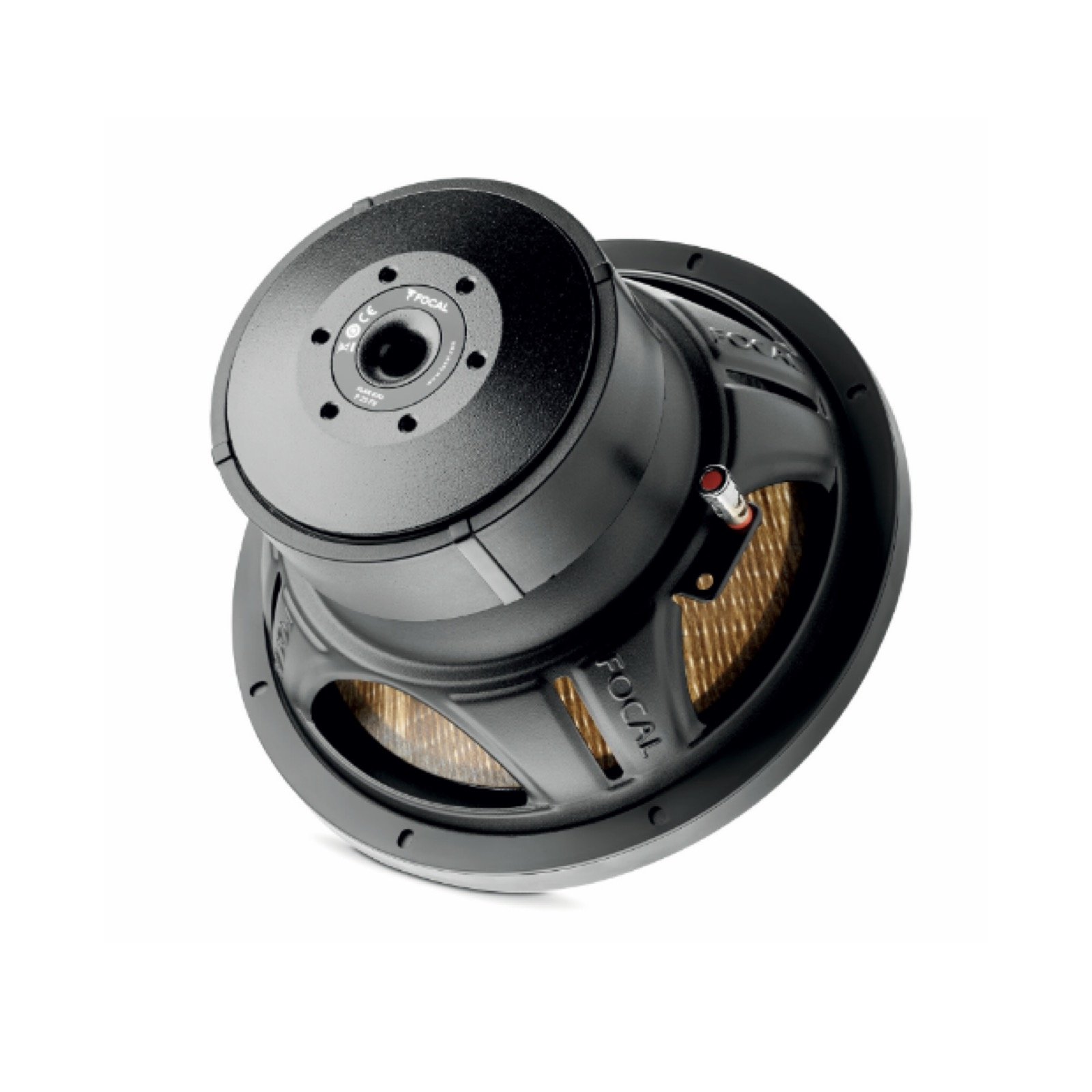 focal 10%22. sub P 25 FE reg 3.jpg